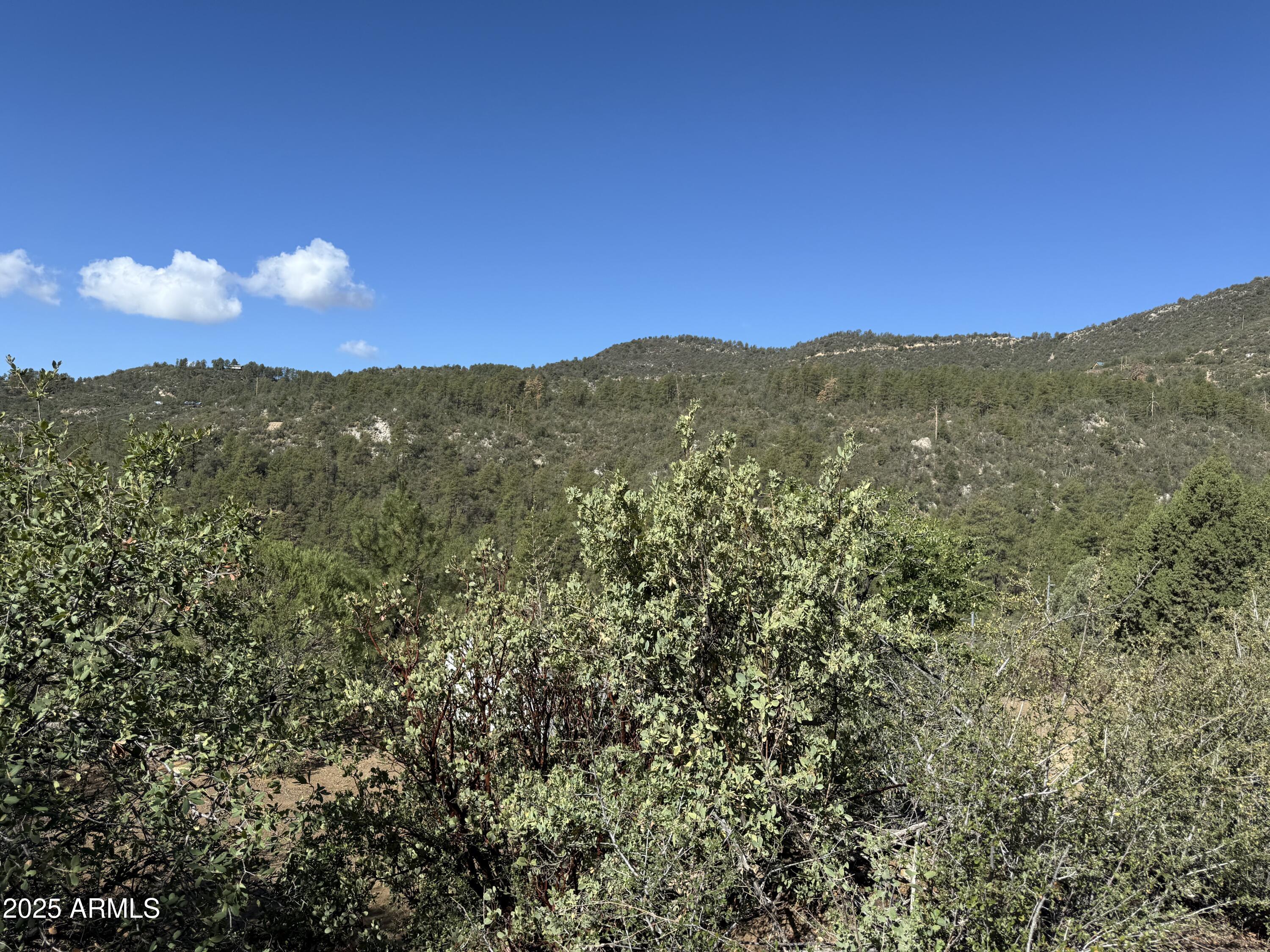 22865 S GLADIATOR MINE Road -, Crown King, AZ 86343 — Photo 1 of 20