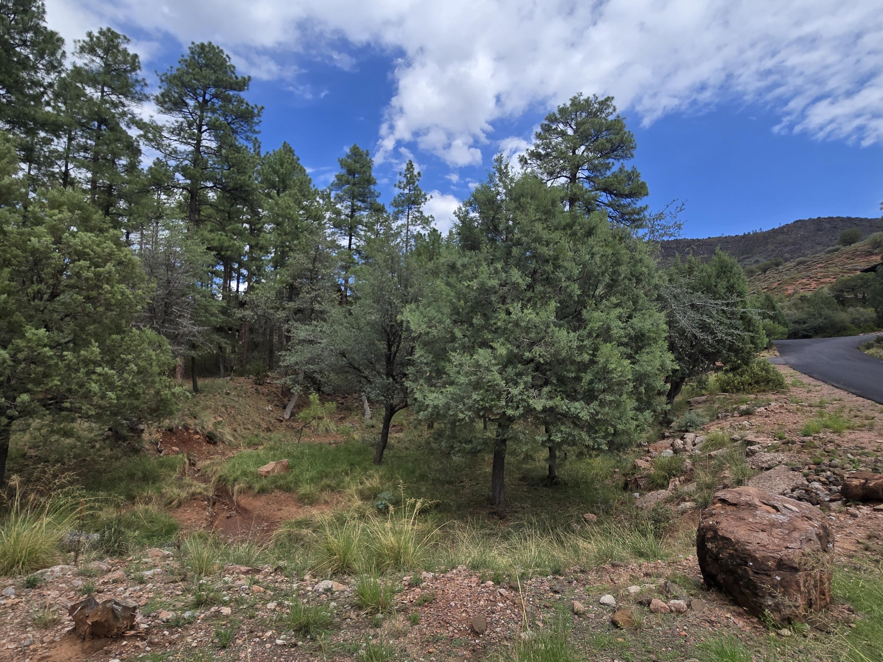 0 Lot #66, Pine, AZ 85544