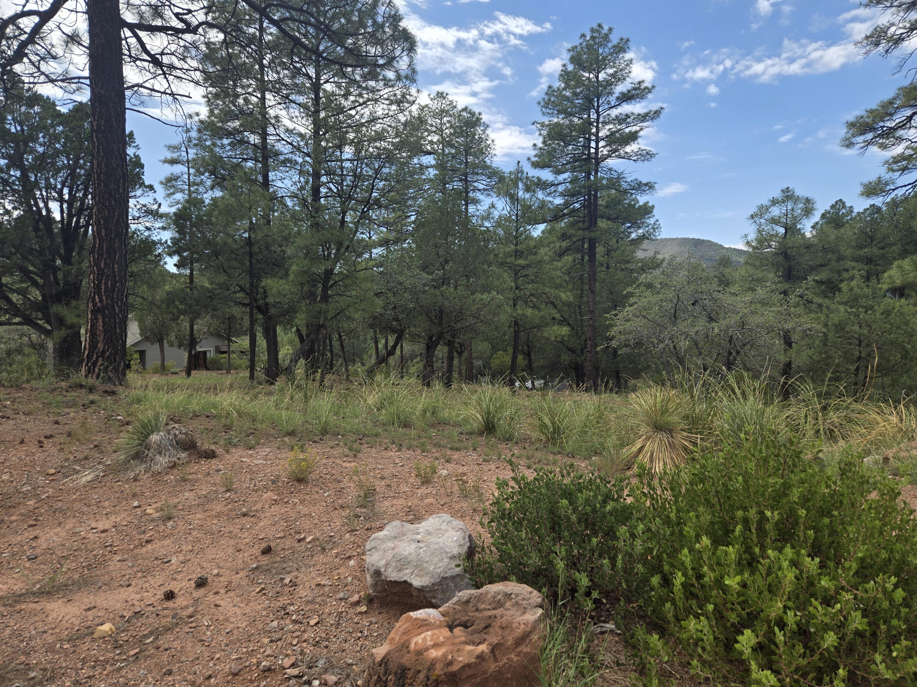 - Lot #67, Pine, AZ 85544 — Photo 1 of 1