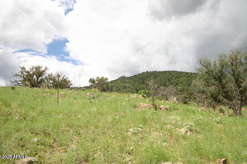 009N One More Road -, Hereford, AZ 85615