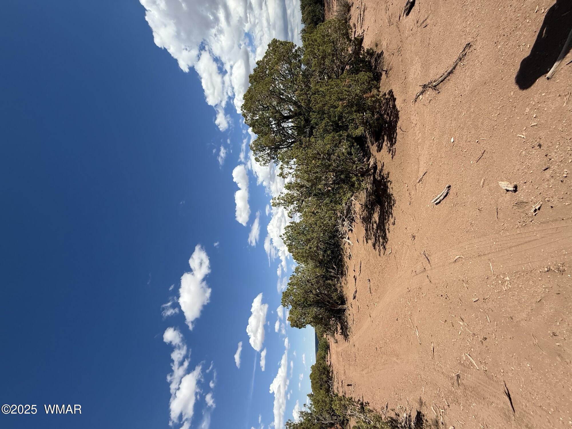 8933 Blue Jay Lane, Snowflake, AZ 85937