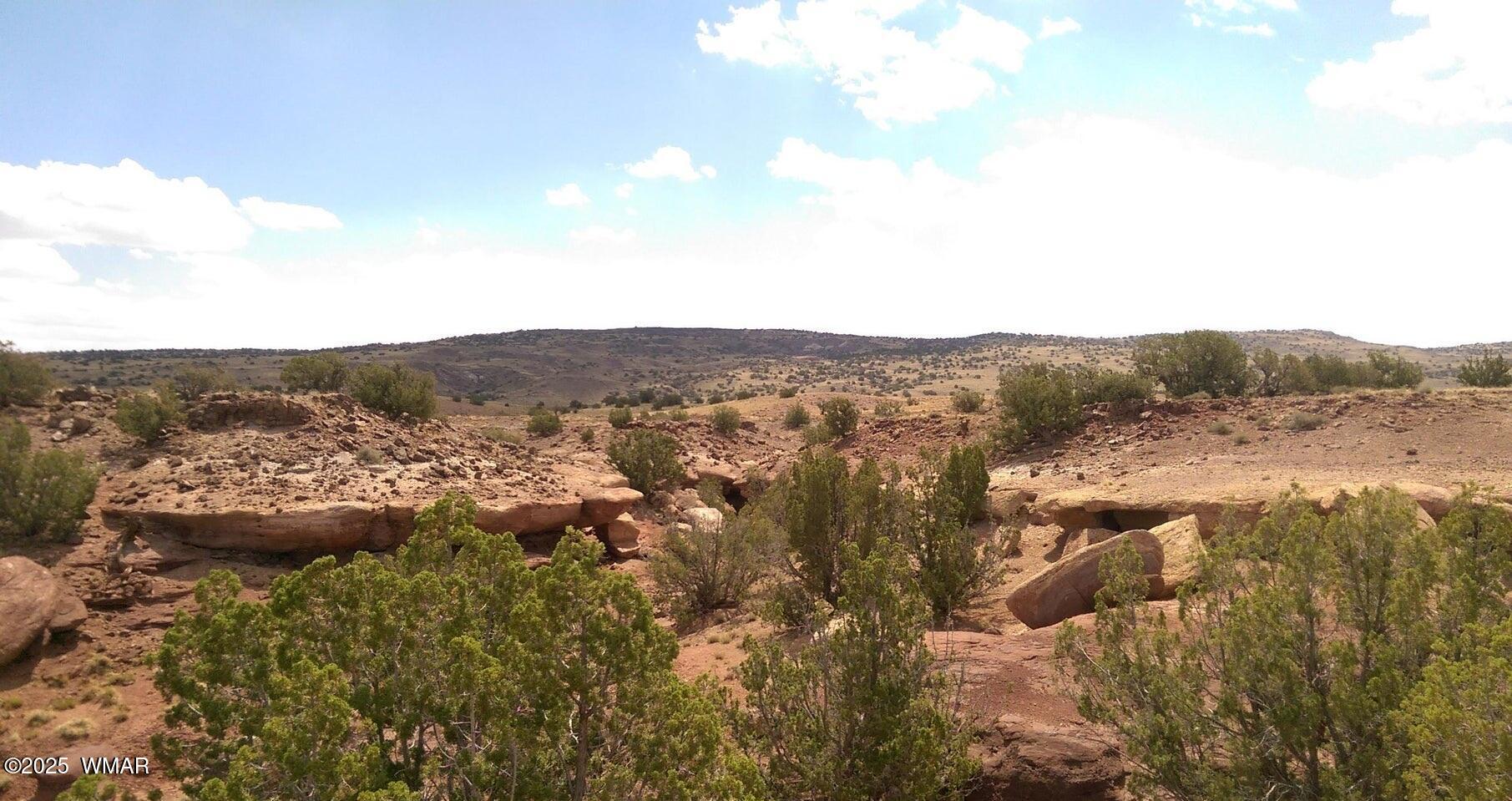 TBD CR 212-08-001E, Concho, AZ 85924