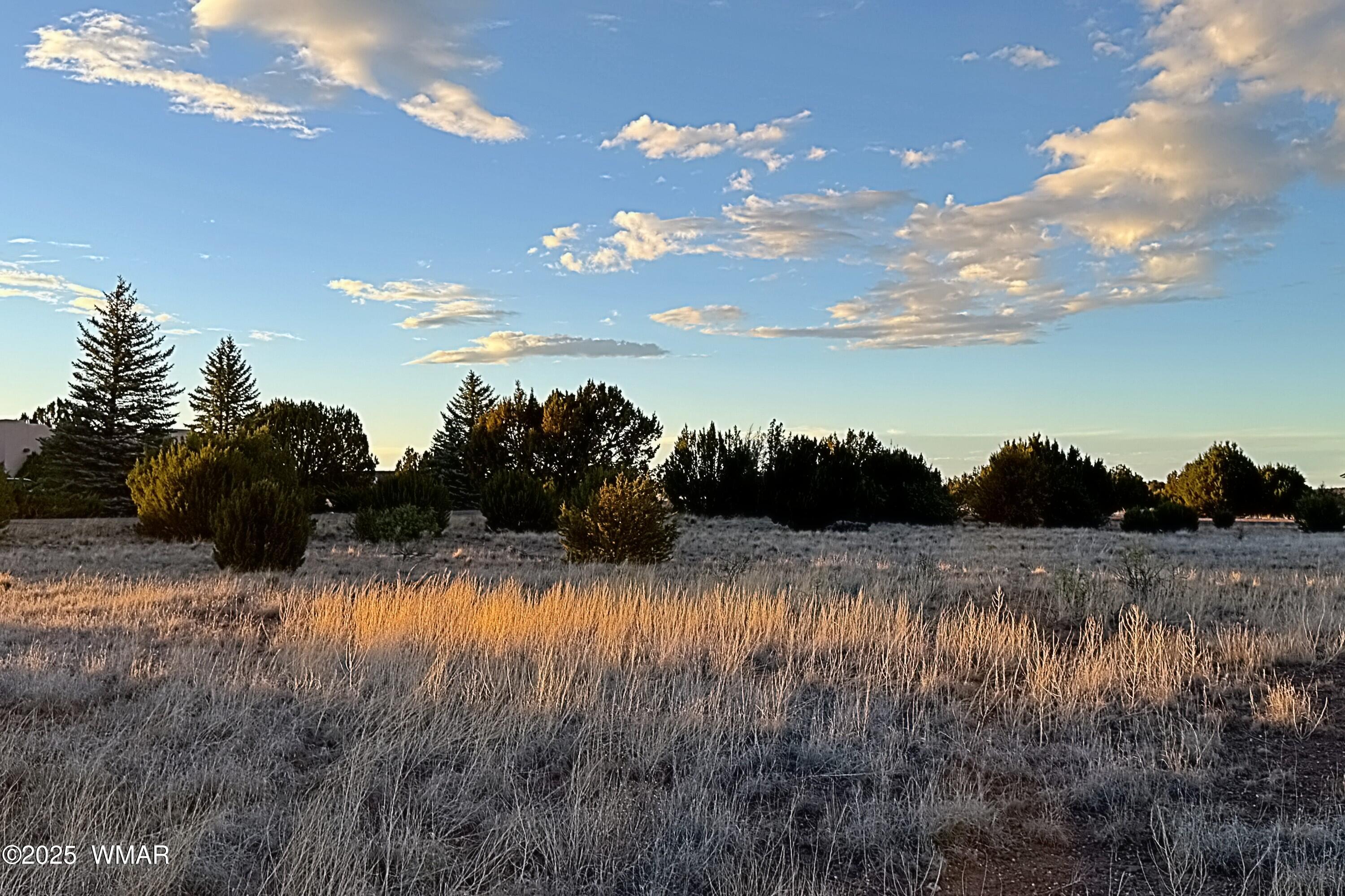 1930 Silver Lake Boulevard, Show Low, AZ 85901