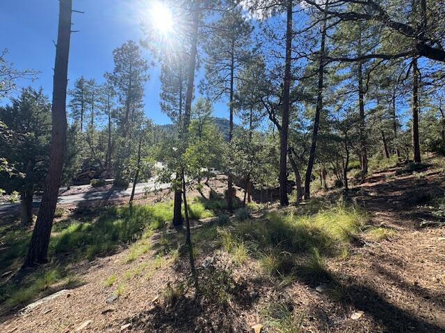 Lot 33 W Sage Court, Pine, AZ 85544
