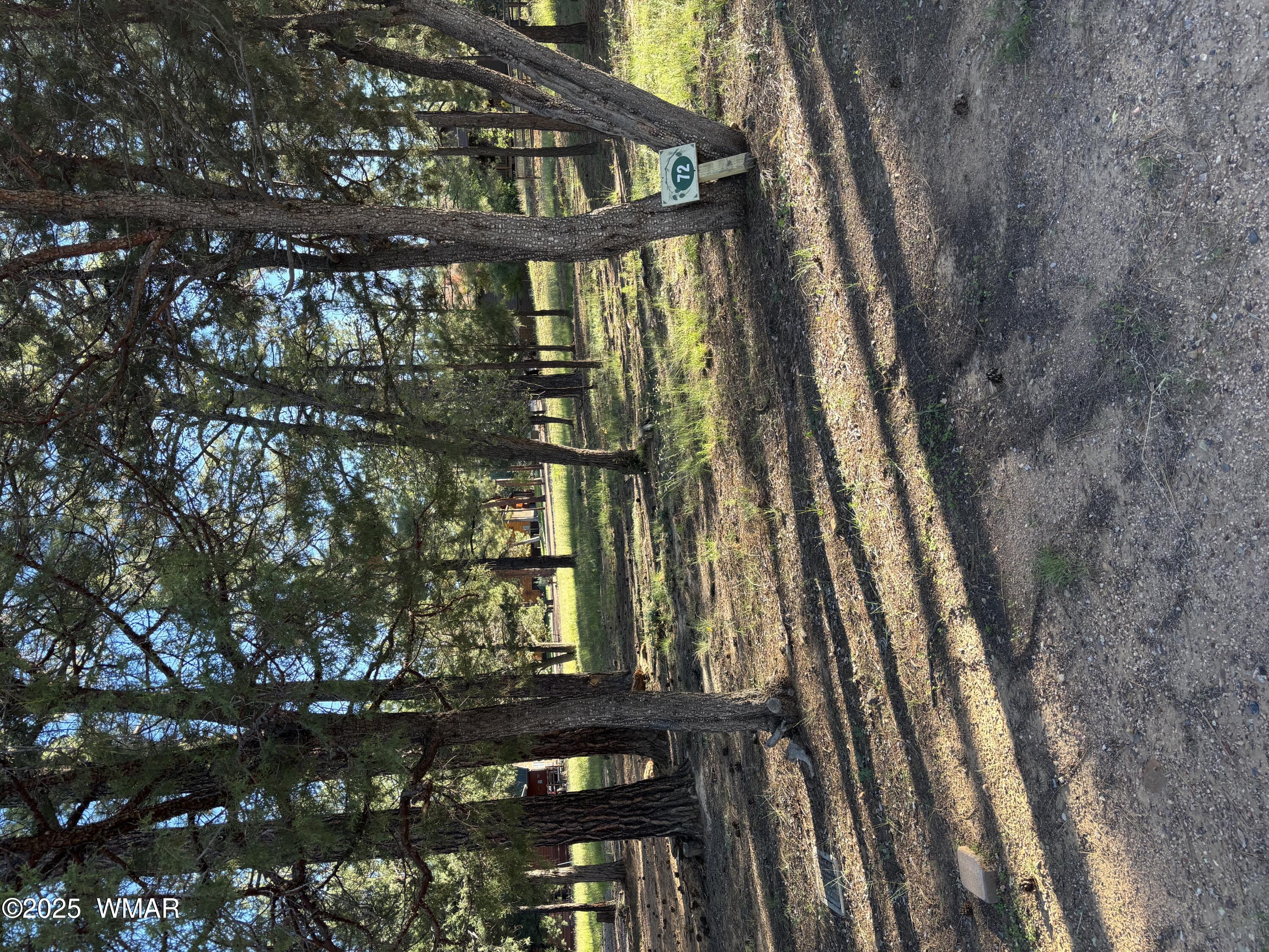 5003 Winter Hawk Court, Lakeside, AZ 85929