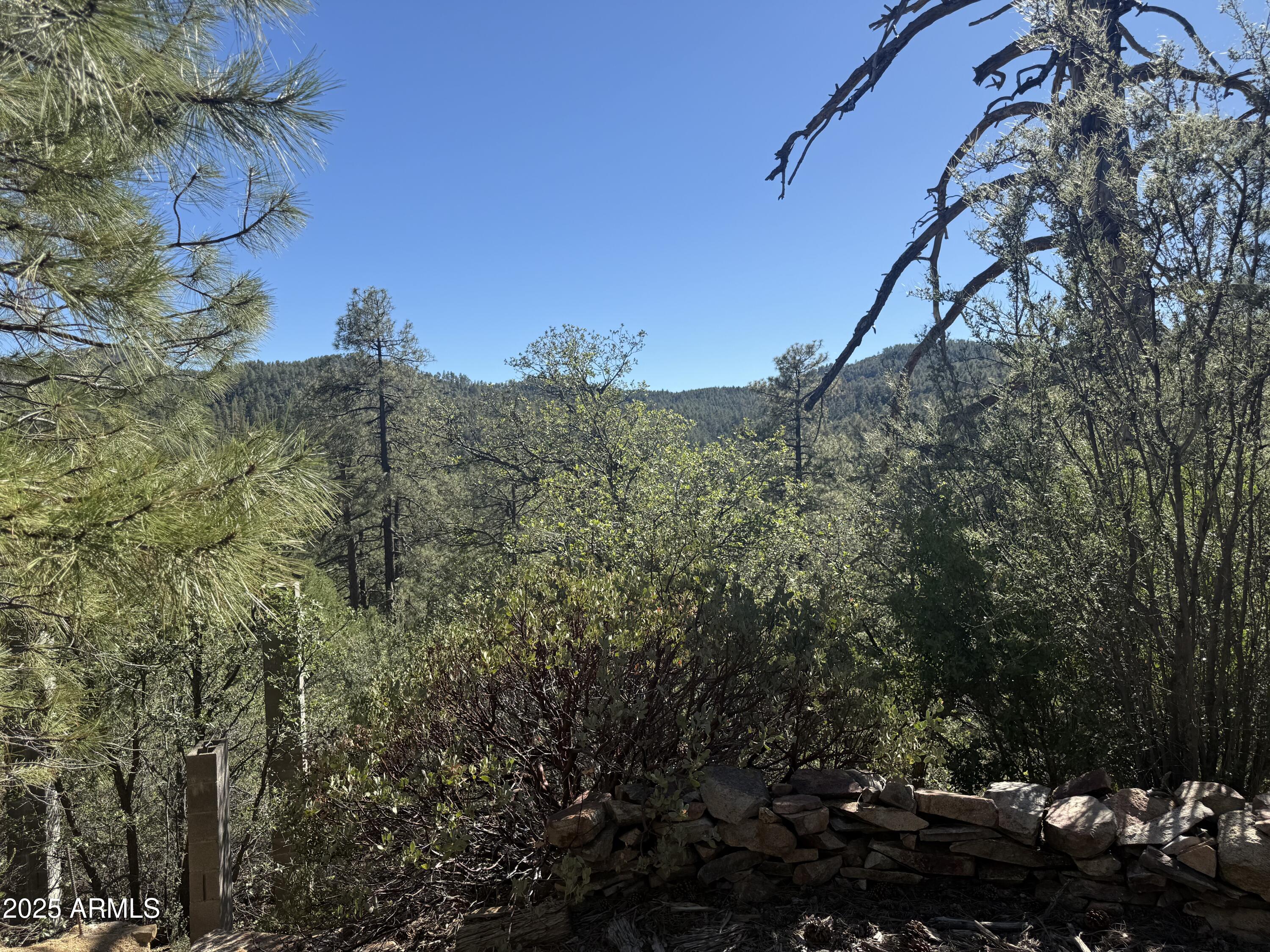 Thumbnail 10