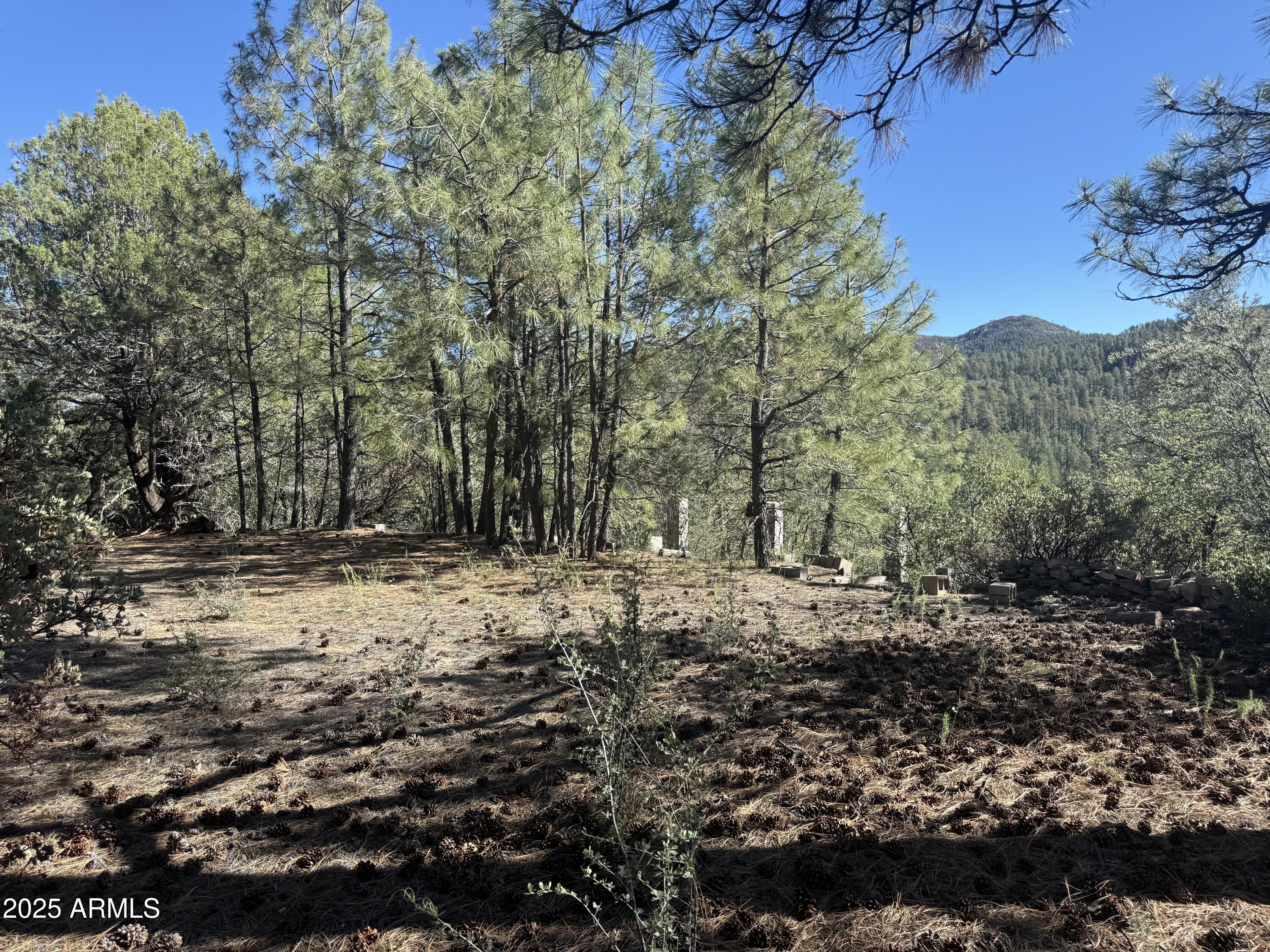 6536 E 90 AND 9 Road -, Crown King, AZ 86343