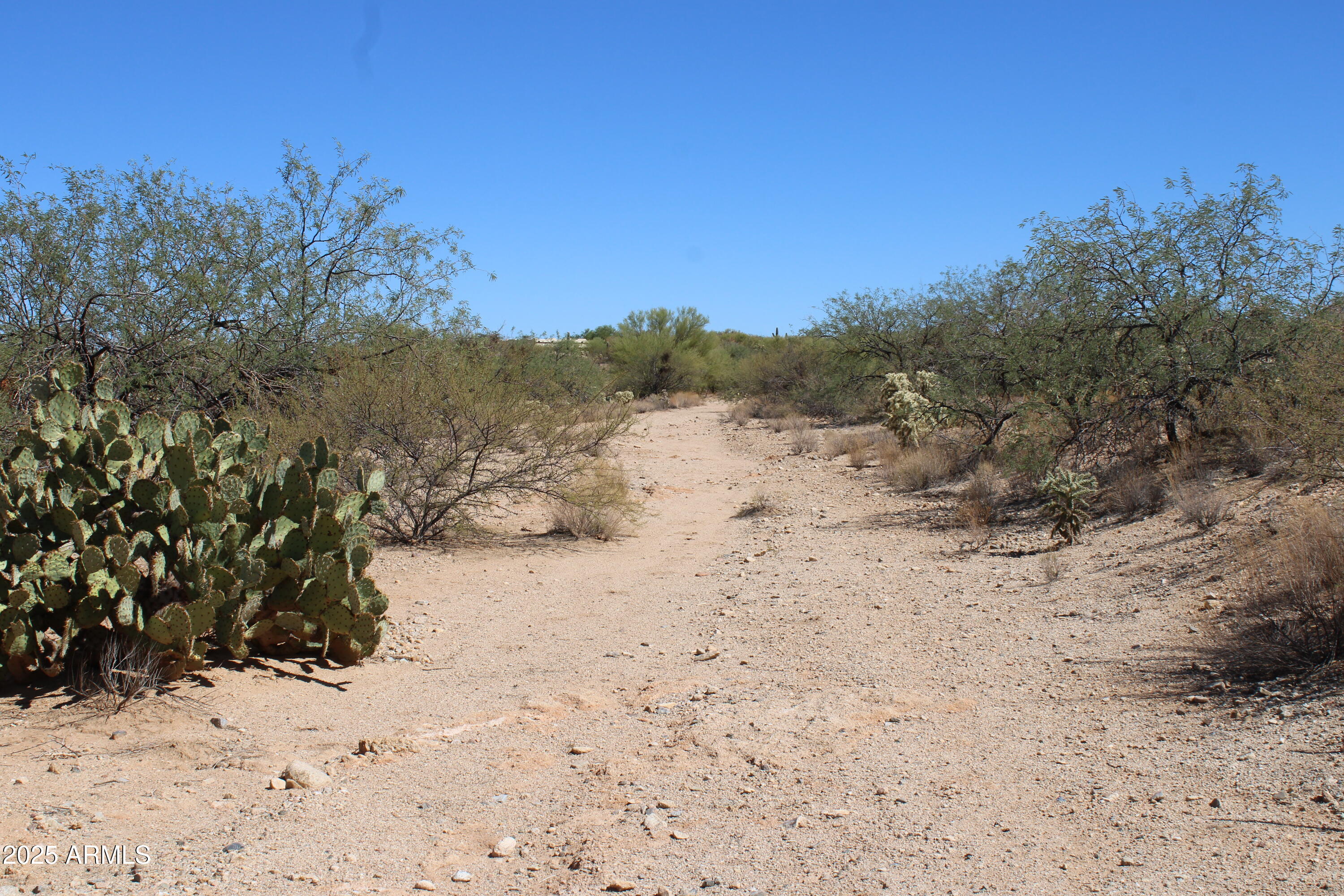 14223 S SHAW Road 00330, Tucson, AZ 85736 — Photo 1 of 7