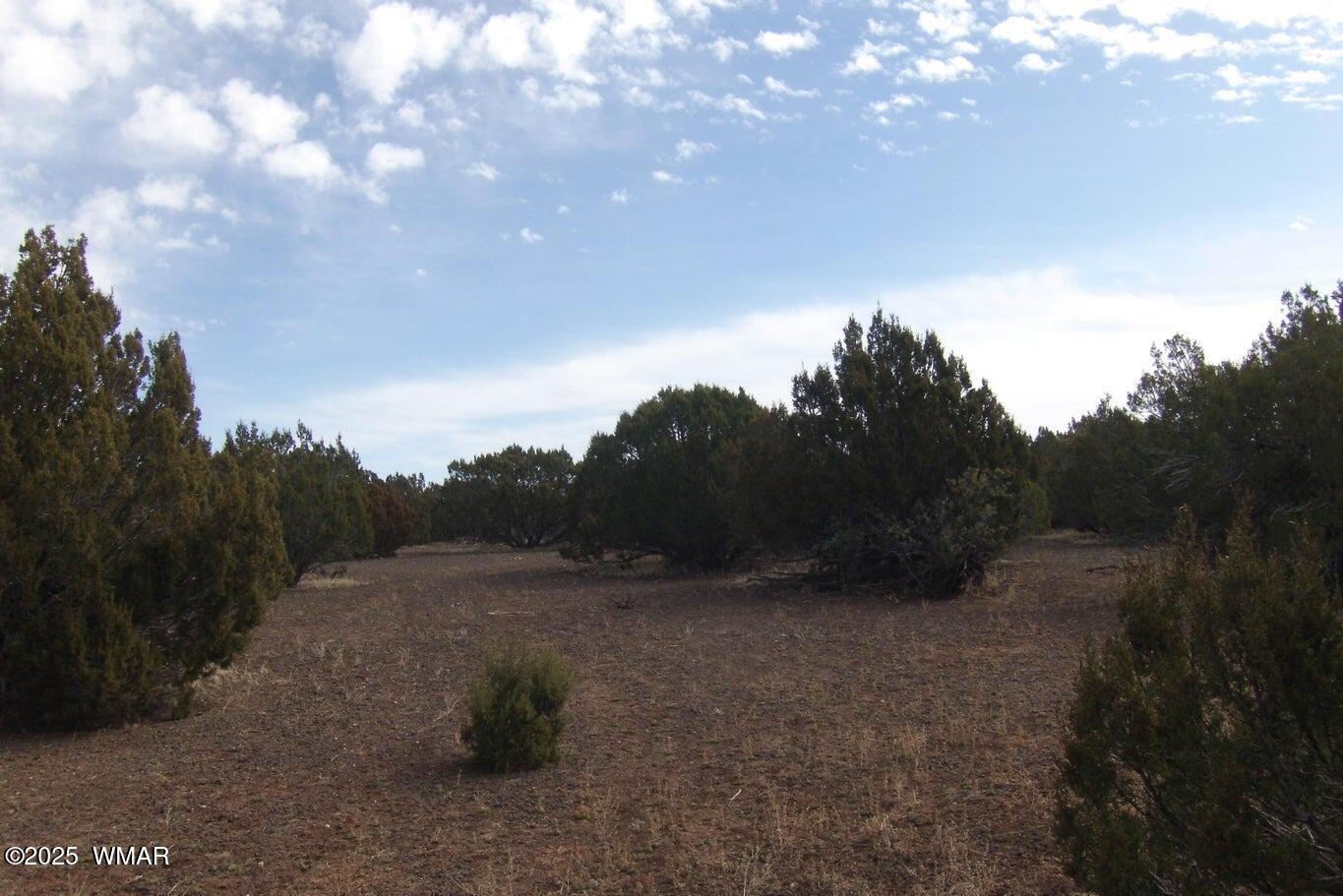 TBD Idlewind Ranch #2 Lot 77A, Show Low, AZ 85901