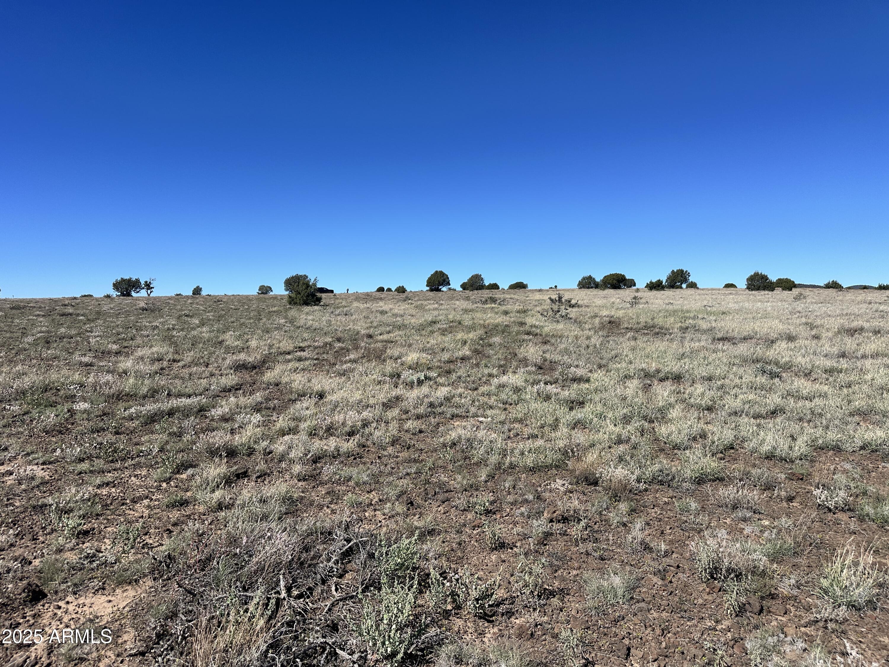 0 Dozer -, Ash Fork, AZ 86320