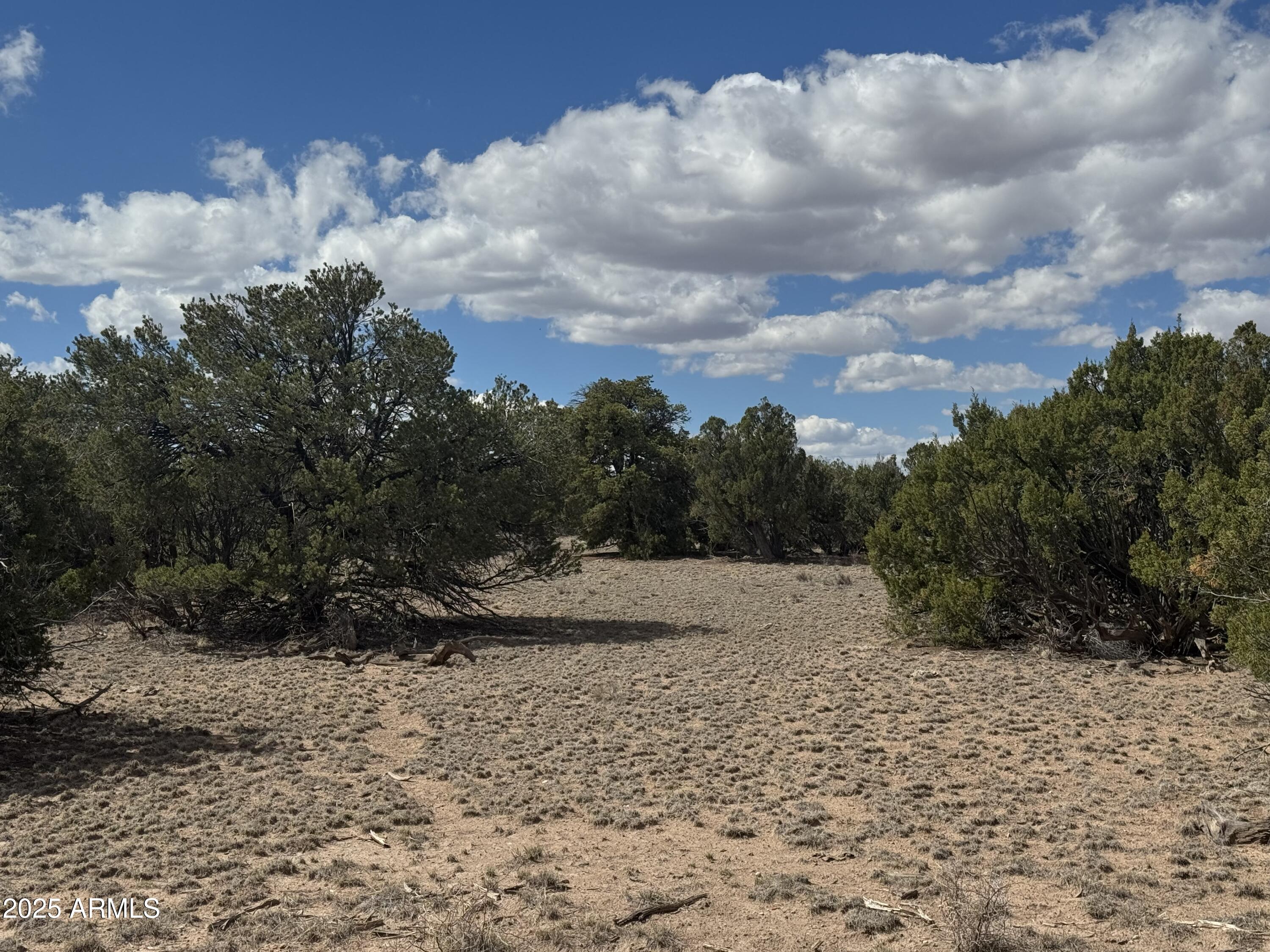 Lot 131 Elk Valley Ranch 131, St Johns, AZ 85936 — Photo 1 of 10