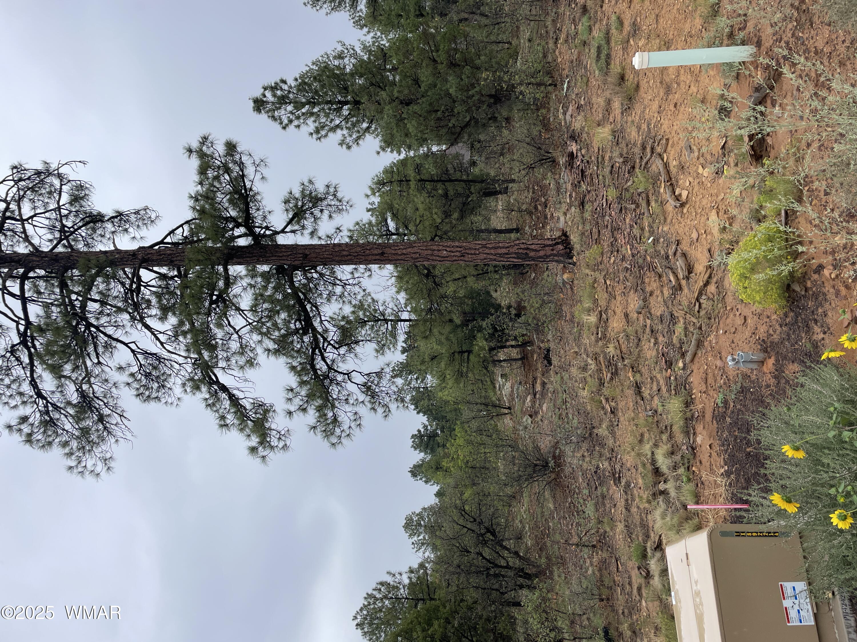 650 S Pine Haven Drive, Show Low, AZ 85901