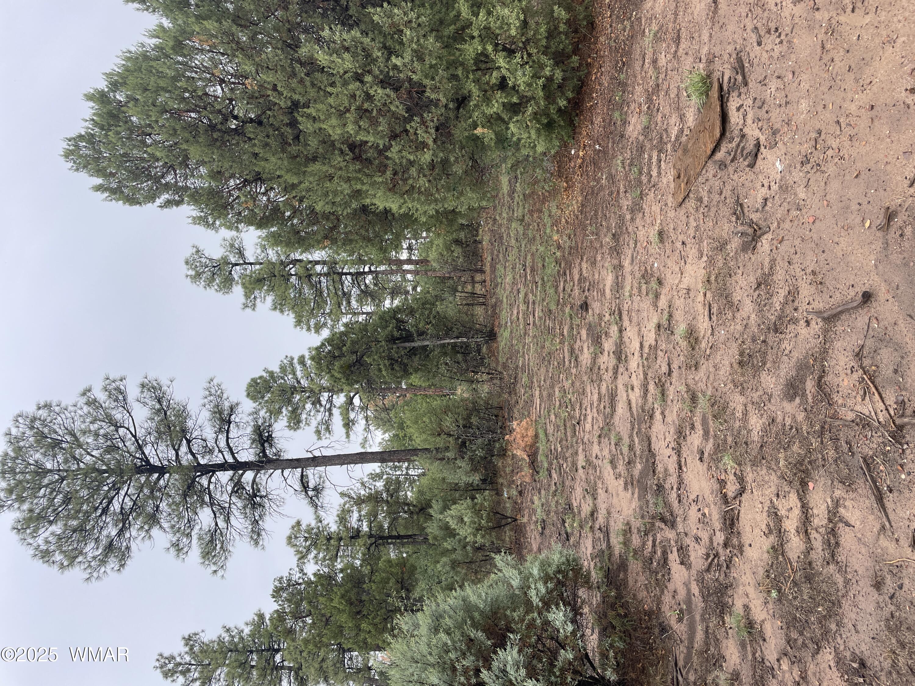 720 S Mountain Pines Avenue, Show Low, AZ 85901