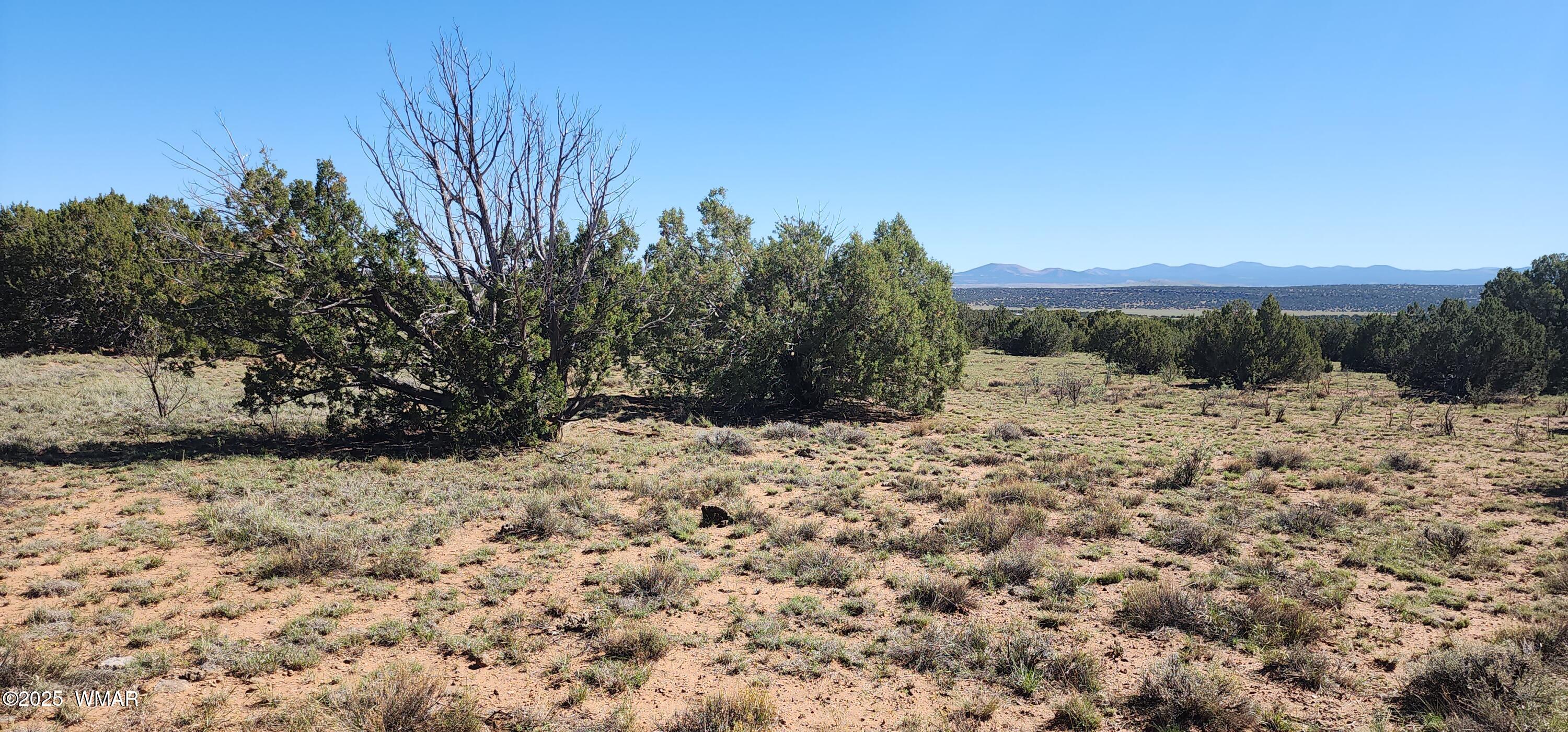 85 N 8522, Concho, AZ 85924