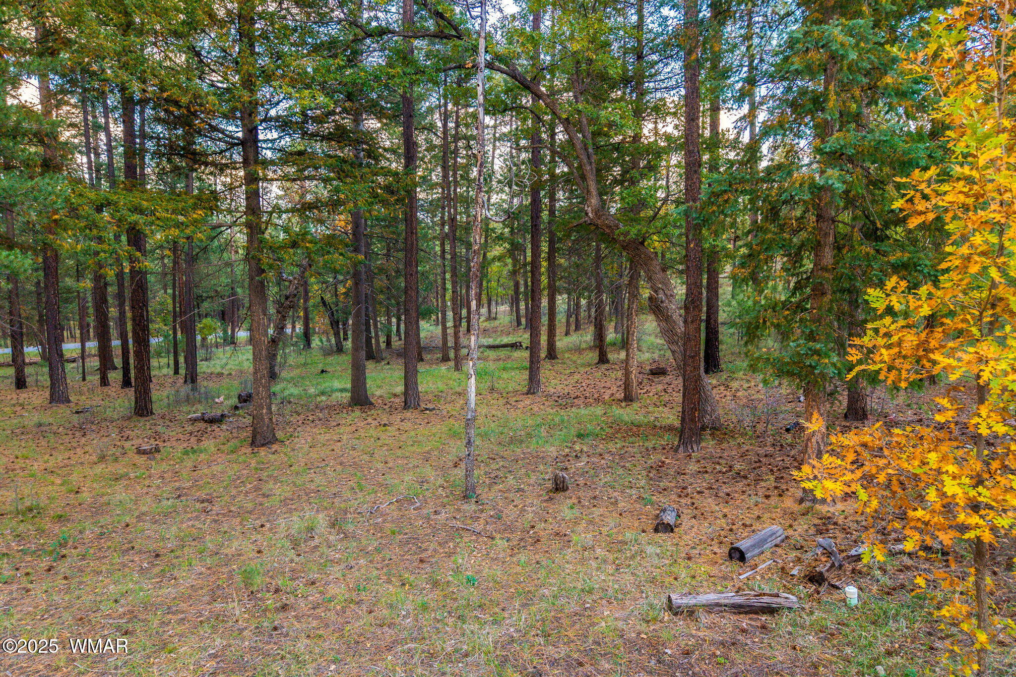 000 COUNTY ROAD 2196, LOT 74 AFE, Alpine, AZ 85920