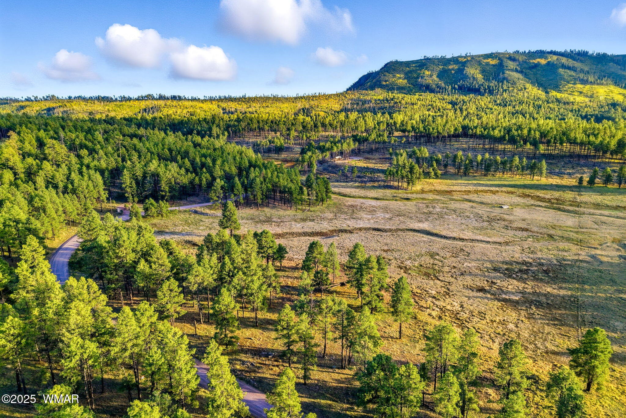 1A FOREST ROAD 26, Alpine, AZ 85920