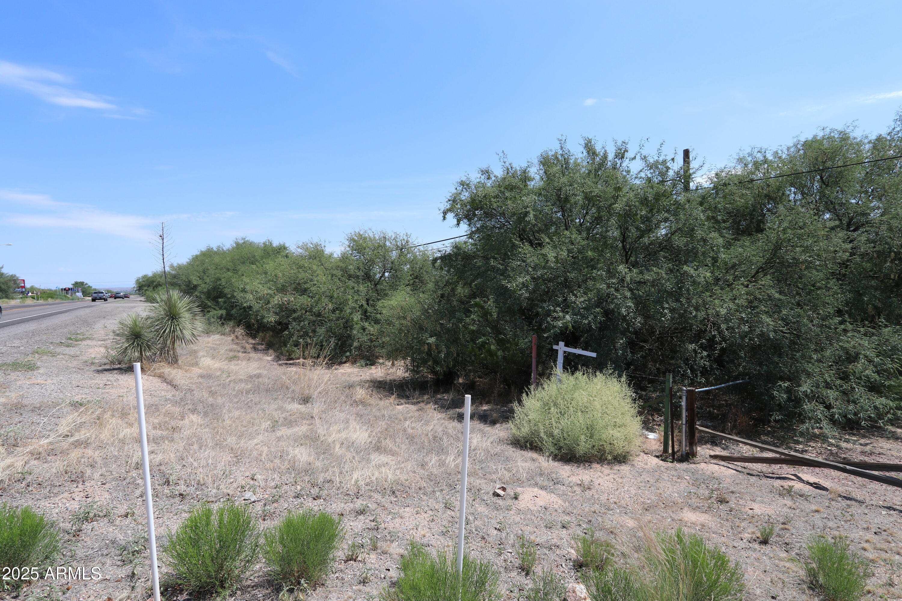 tbd S HWY 80 Way 0, Cochise, AZ 85606 — Photo 1 of 6