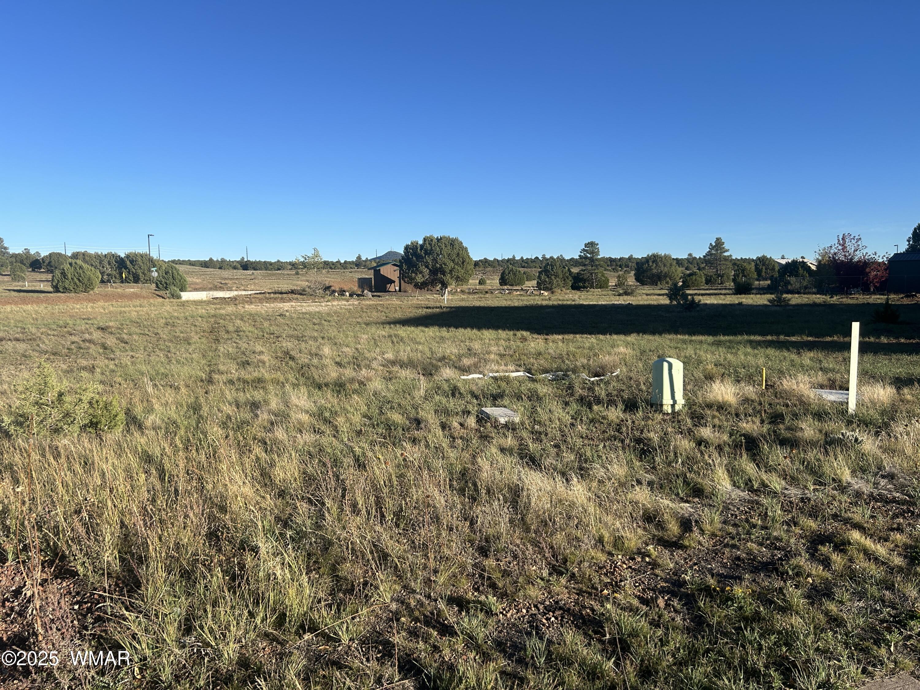 1041 S Lorenzo Sitgreaves Drive, Show Low, AZ 85901