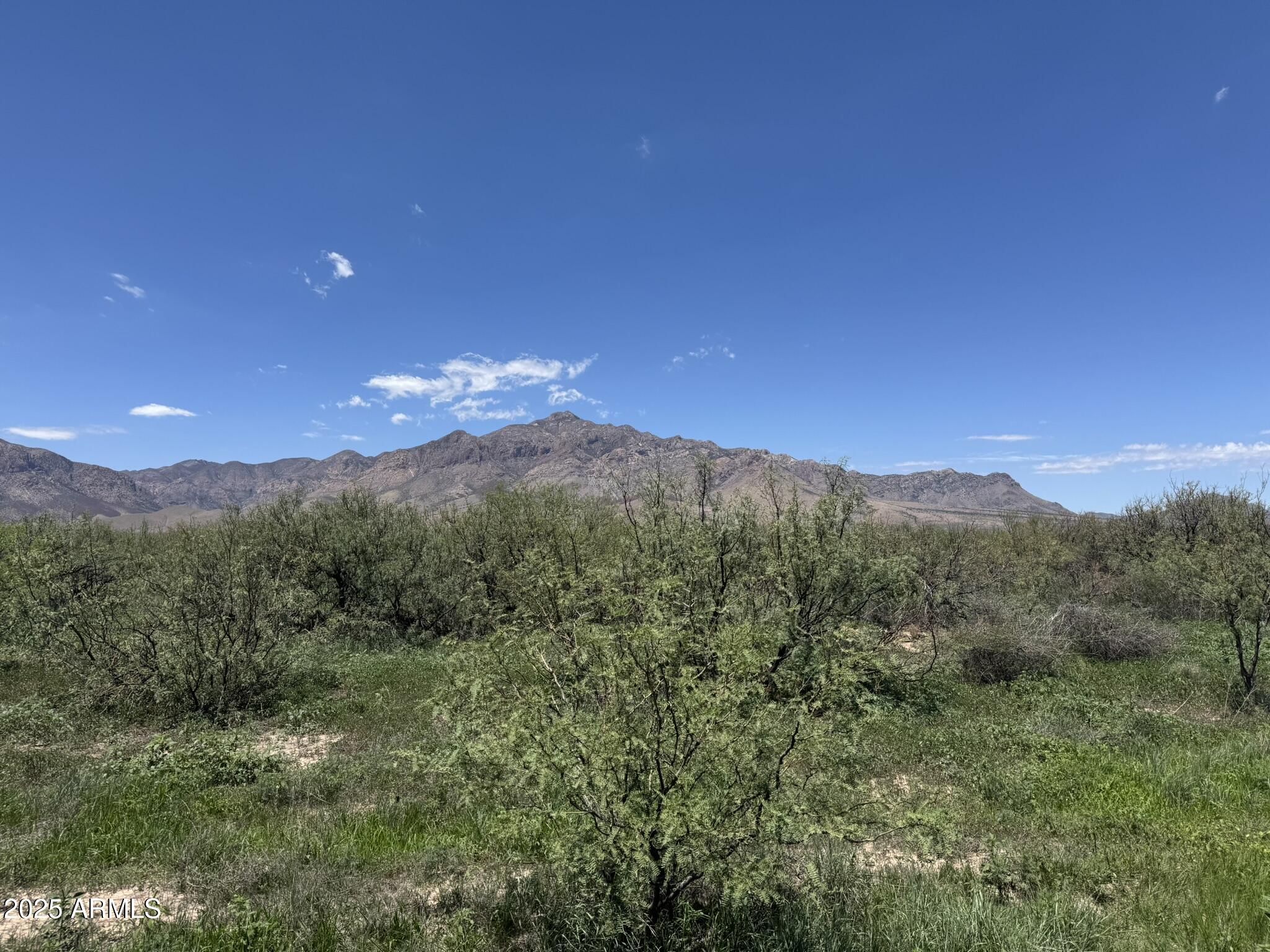 39.6 Acres W Paulo Rose Drive 2, Portal, AZ 85632 — Photo 1 of 40