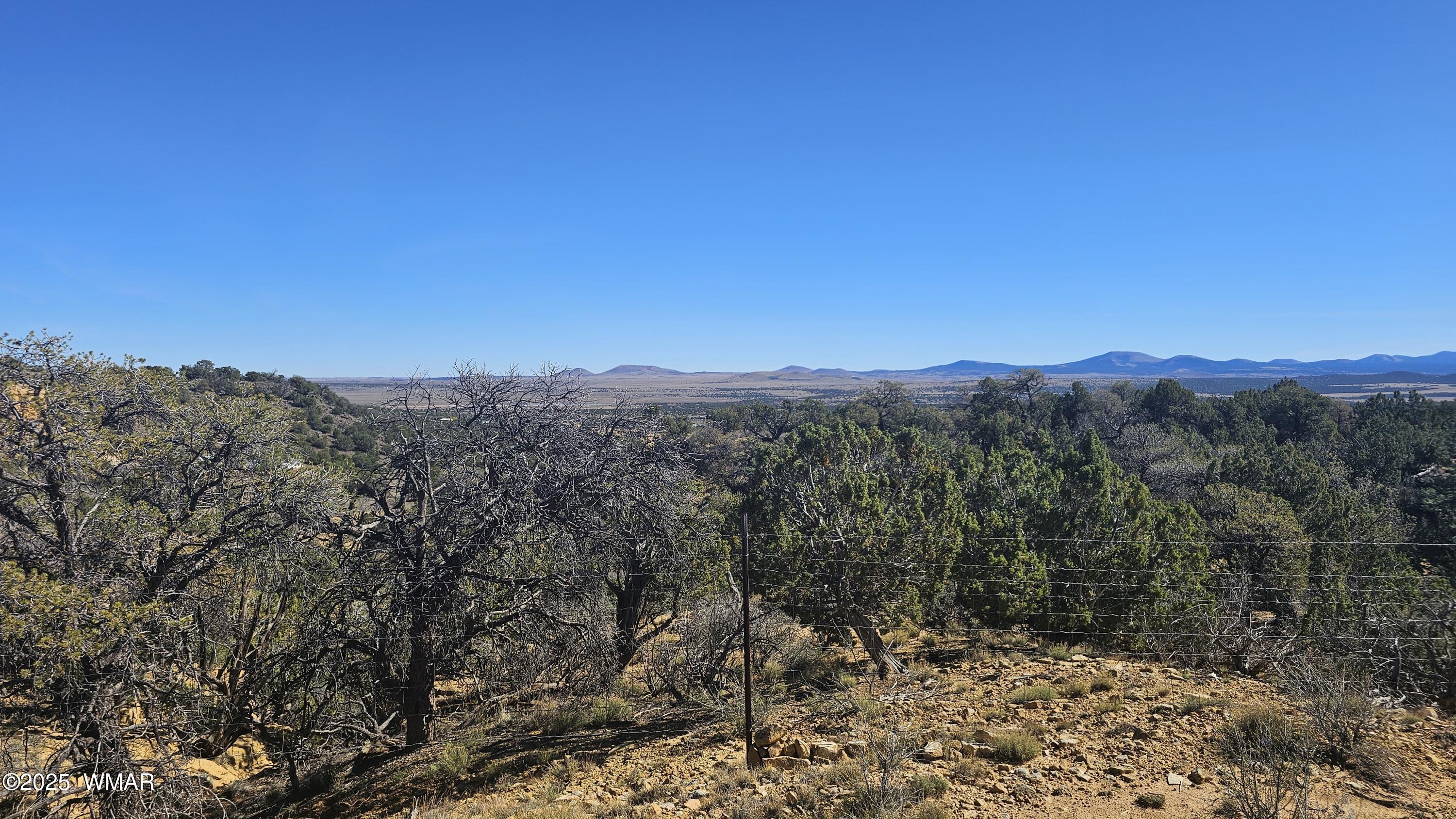 4 County Road, # 8030, Concho, AZ 85924