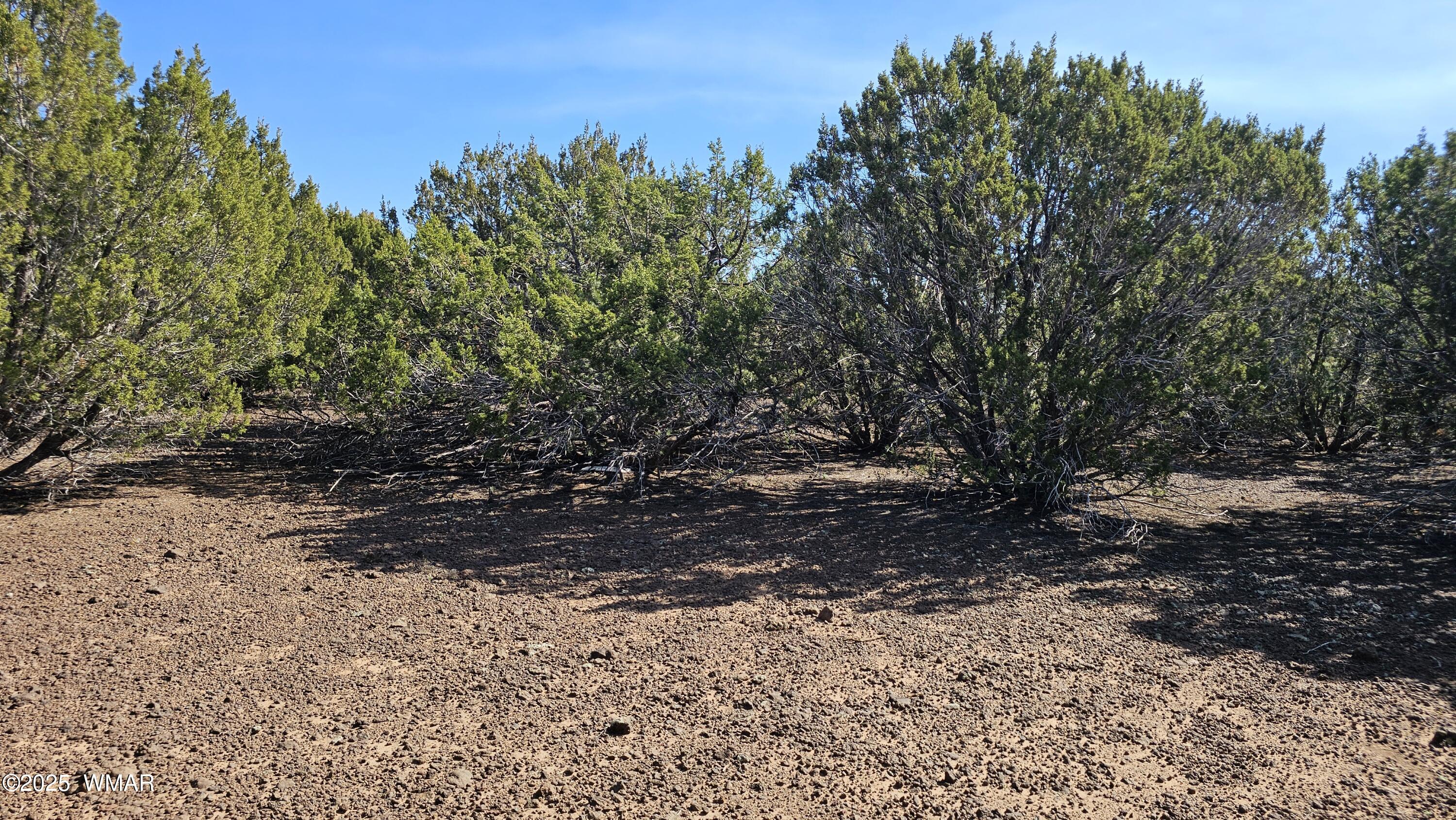 41 Acr 3119, # CO, Vernon, AZ 85940