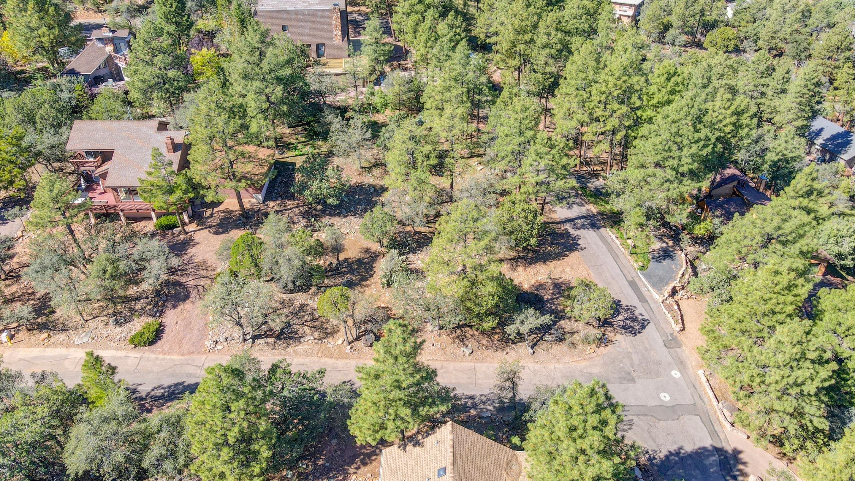 6124 W Skyview Circle, Pine, AZ 85544