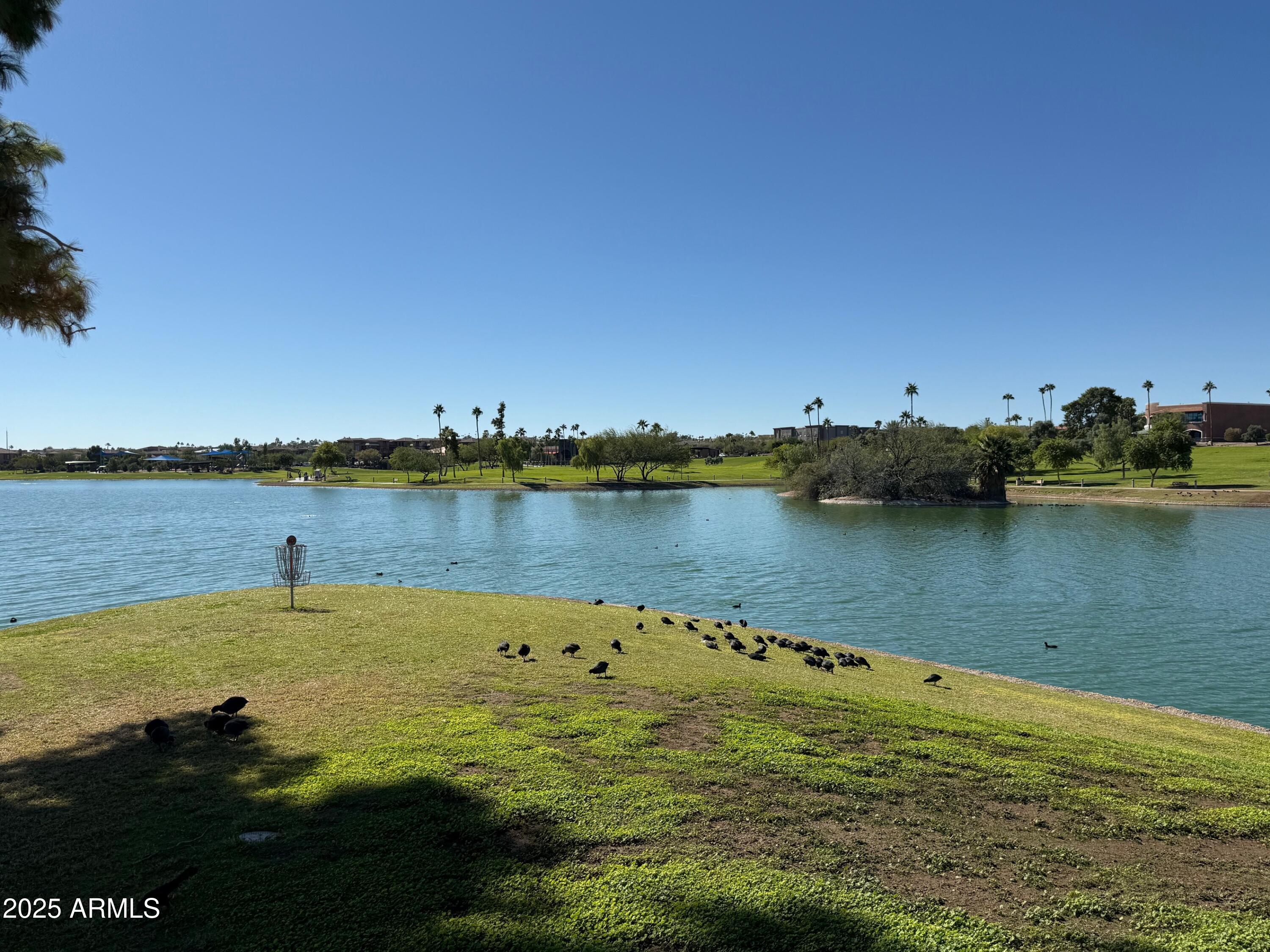 Thumbnail 18