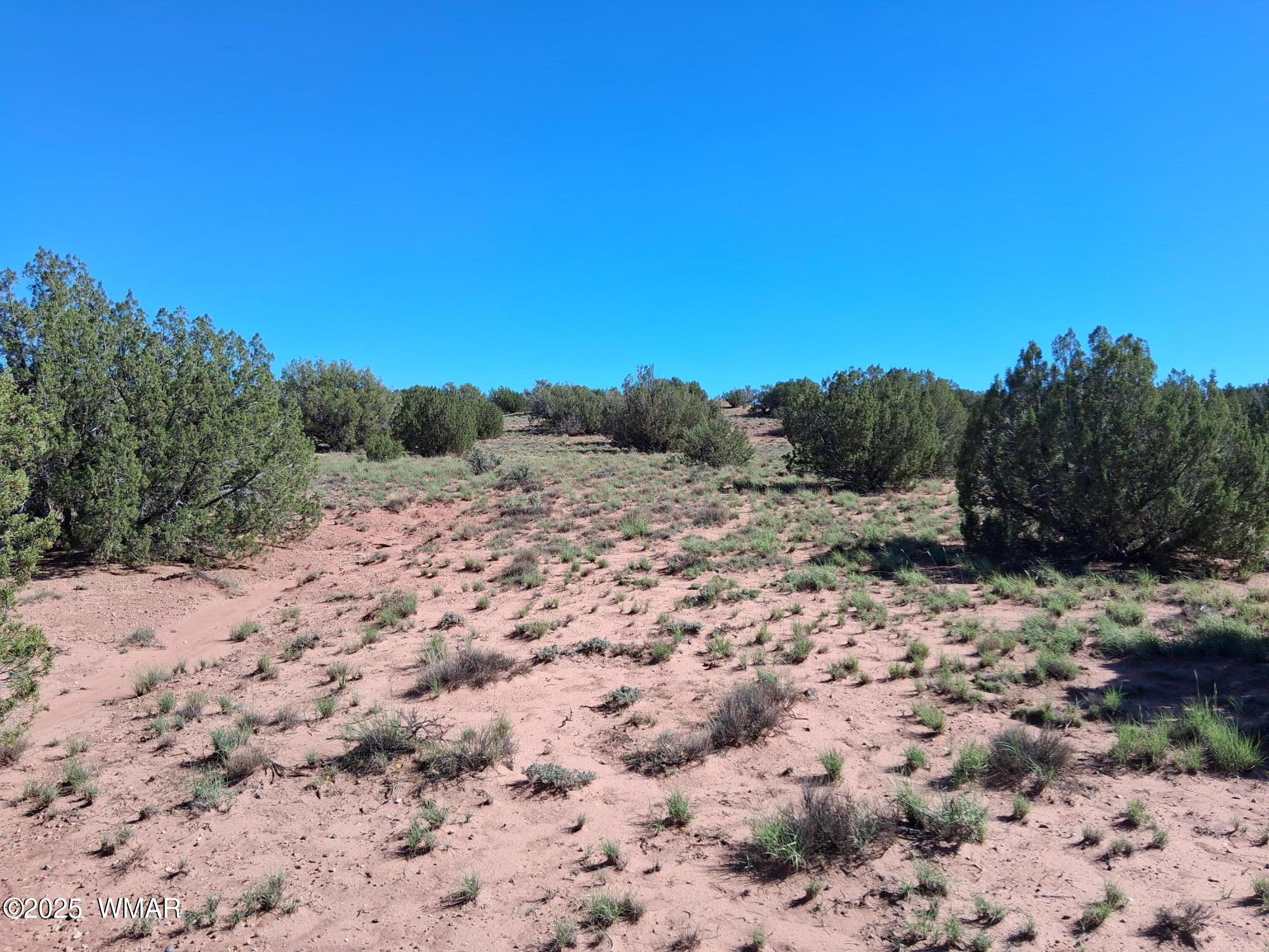 236 N9233 SE, Concho, AZ 85924