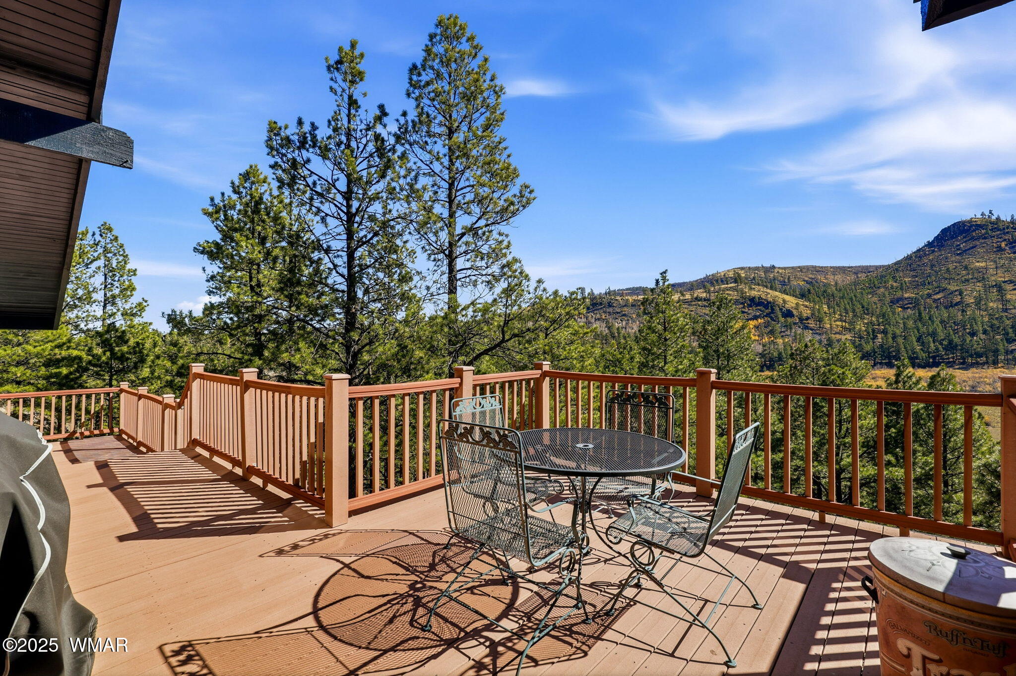 4 N1013, Greer, AZ 85927