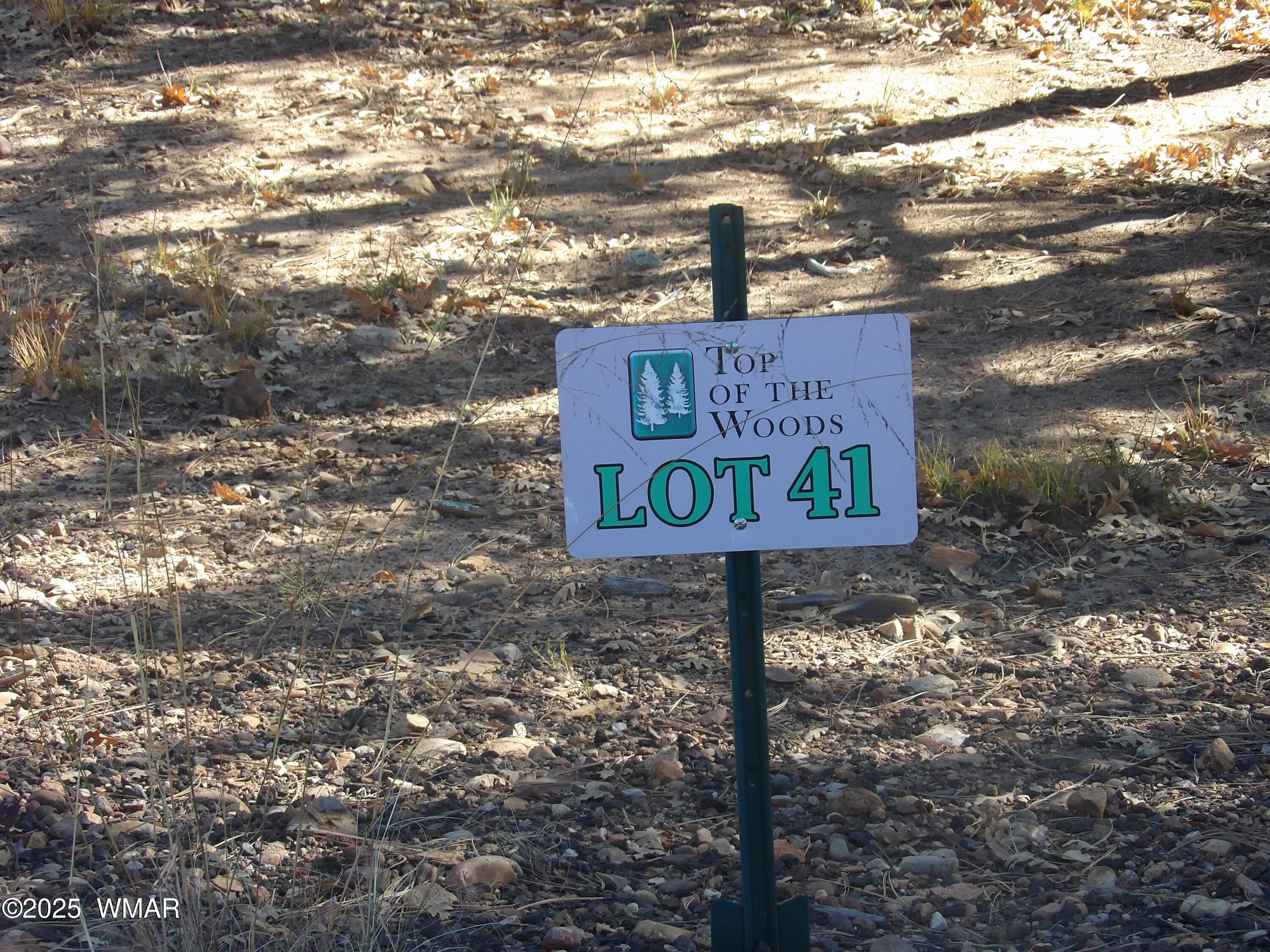 2553 Willow Way 41, Lakeside, AZ 85929