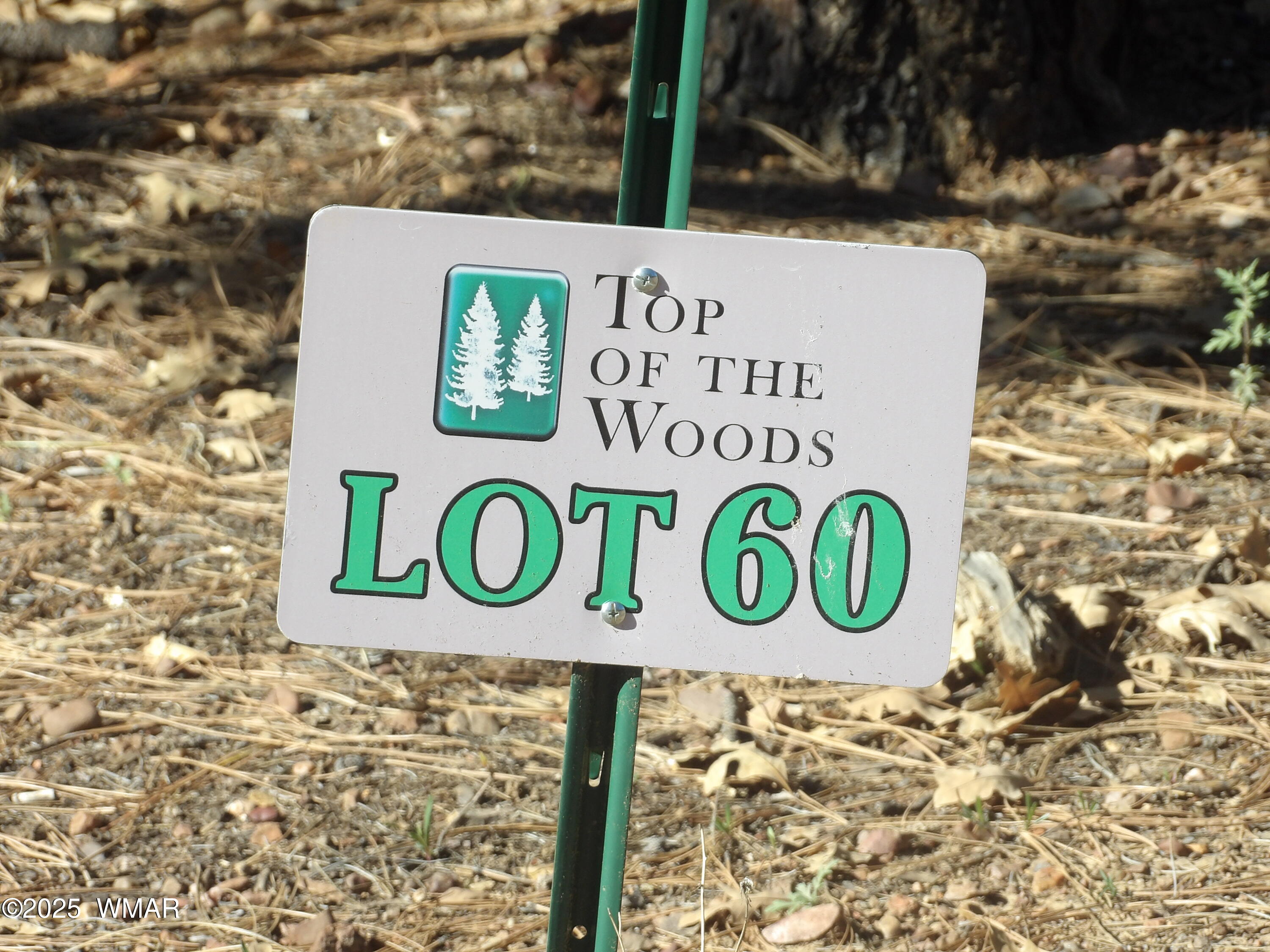 2534 S Aspen Run 60, Pinetop, AZ 85935