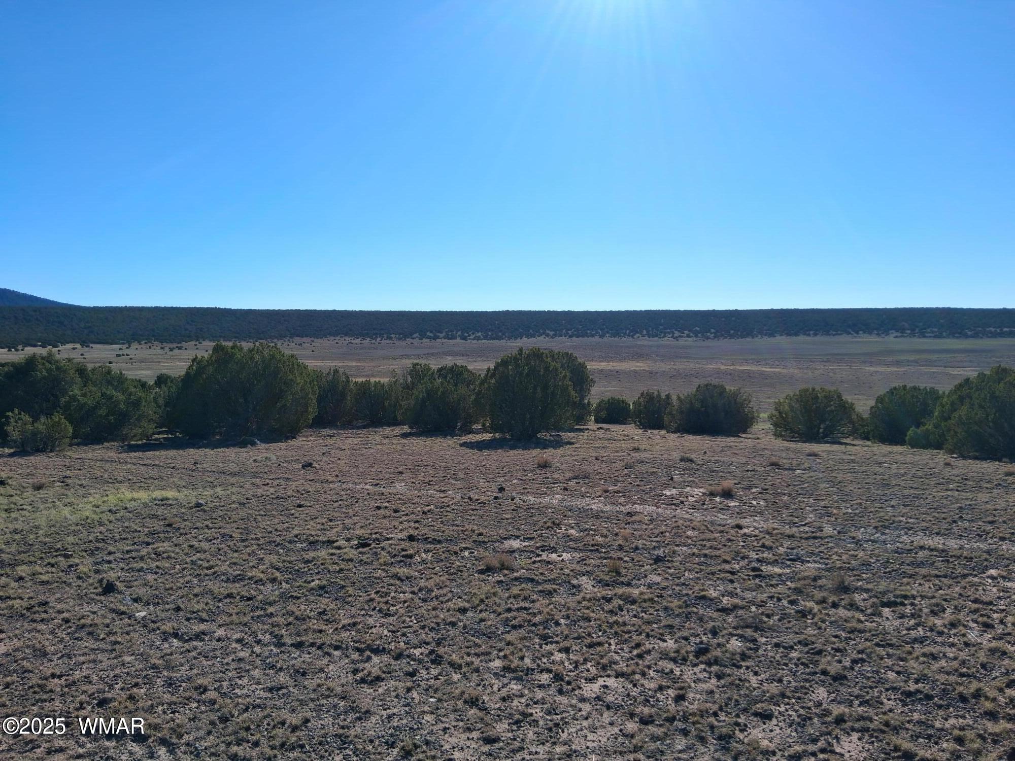 22 N 8171, Parcel A, Concho, AZ 85924