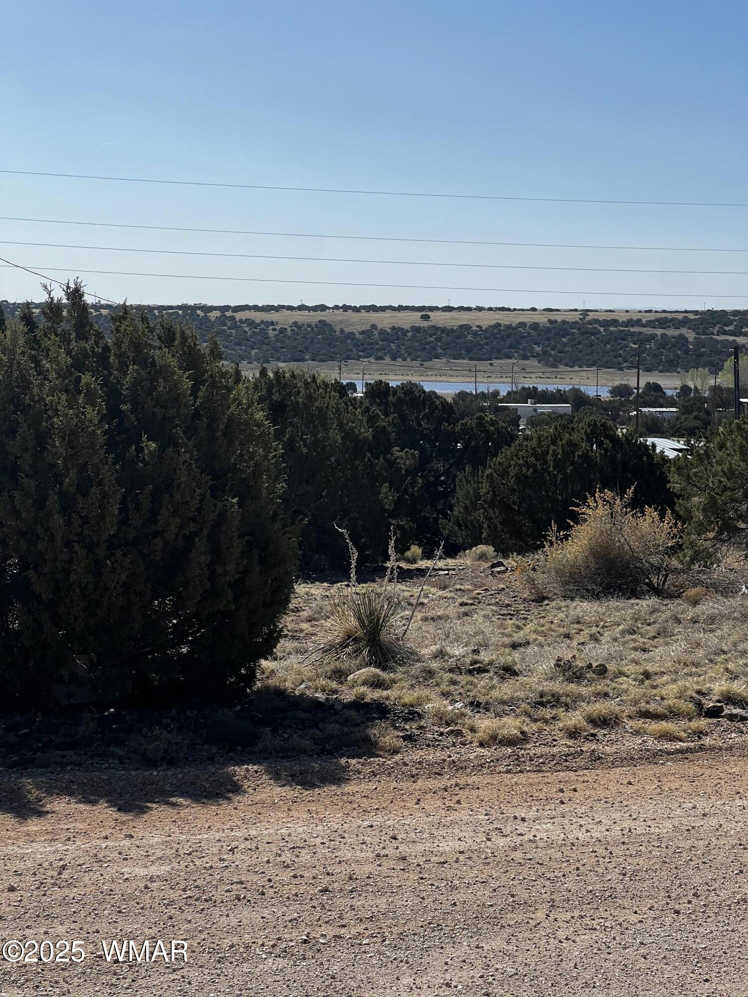 60 Short Lane, Concho, AZ 85924