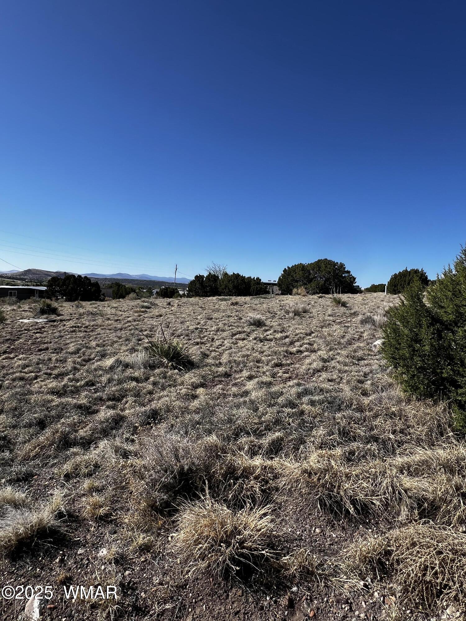 58 Short Lane, Concho, AZ 85924