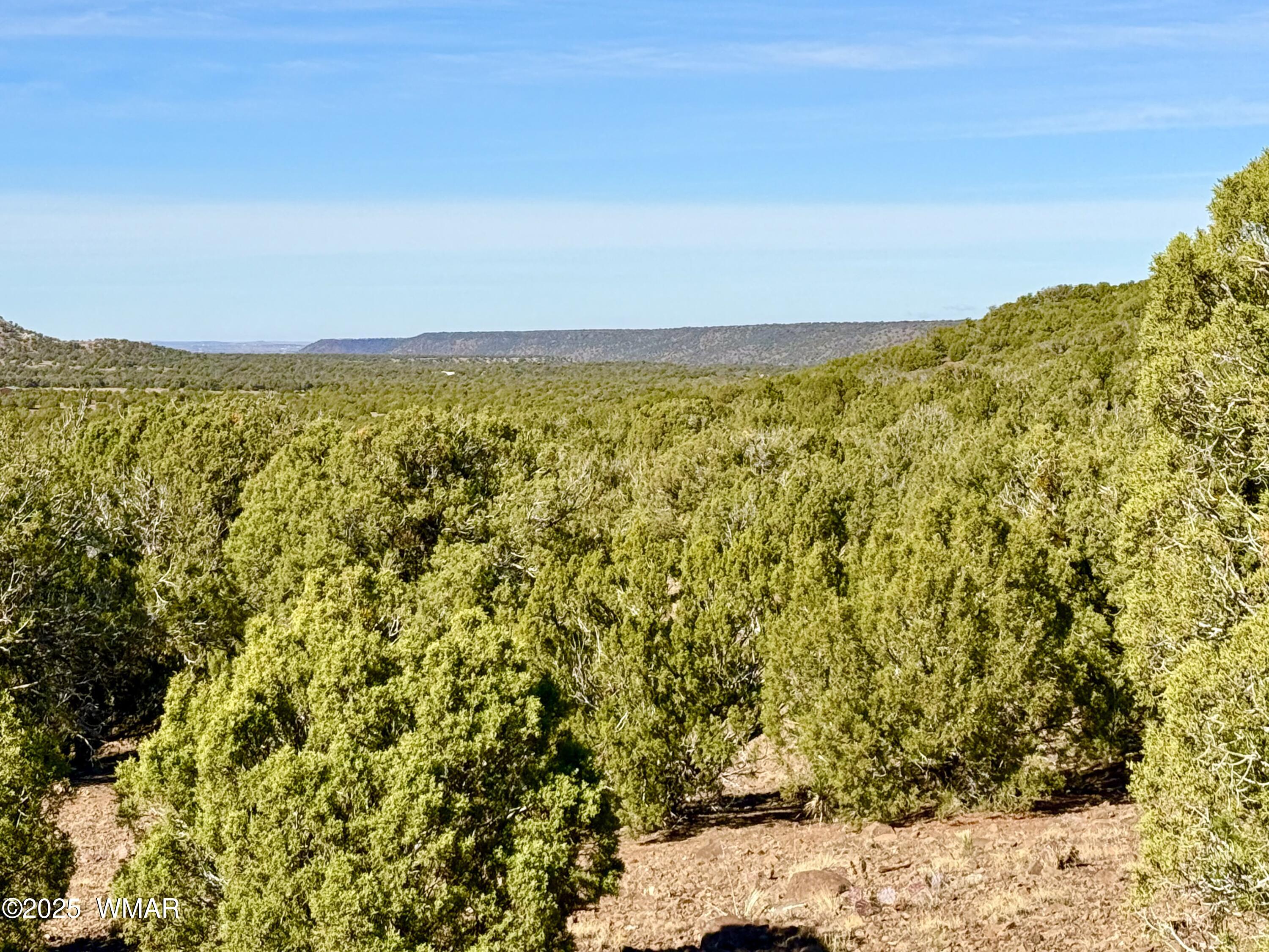 TBD Kirkland DR 20 Acres, Concho, AZ 85924