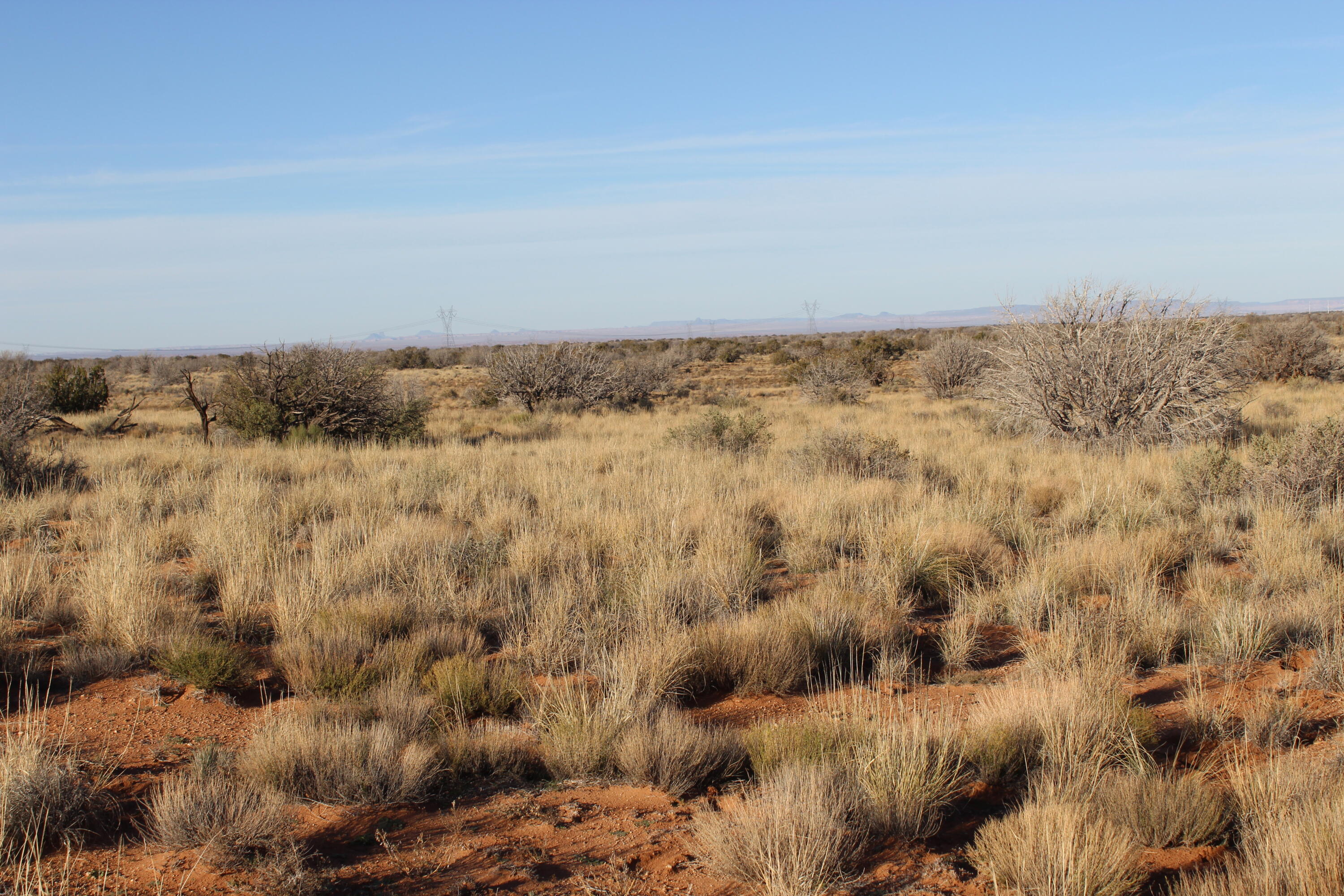 Lot 224 CCR - Unit 224, Heber, AZ 85928 — Photo 1 of 4