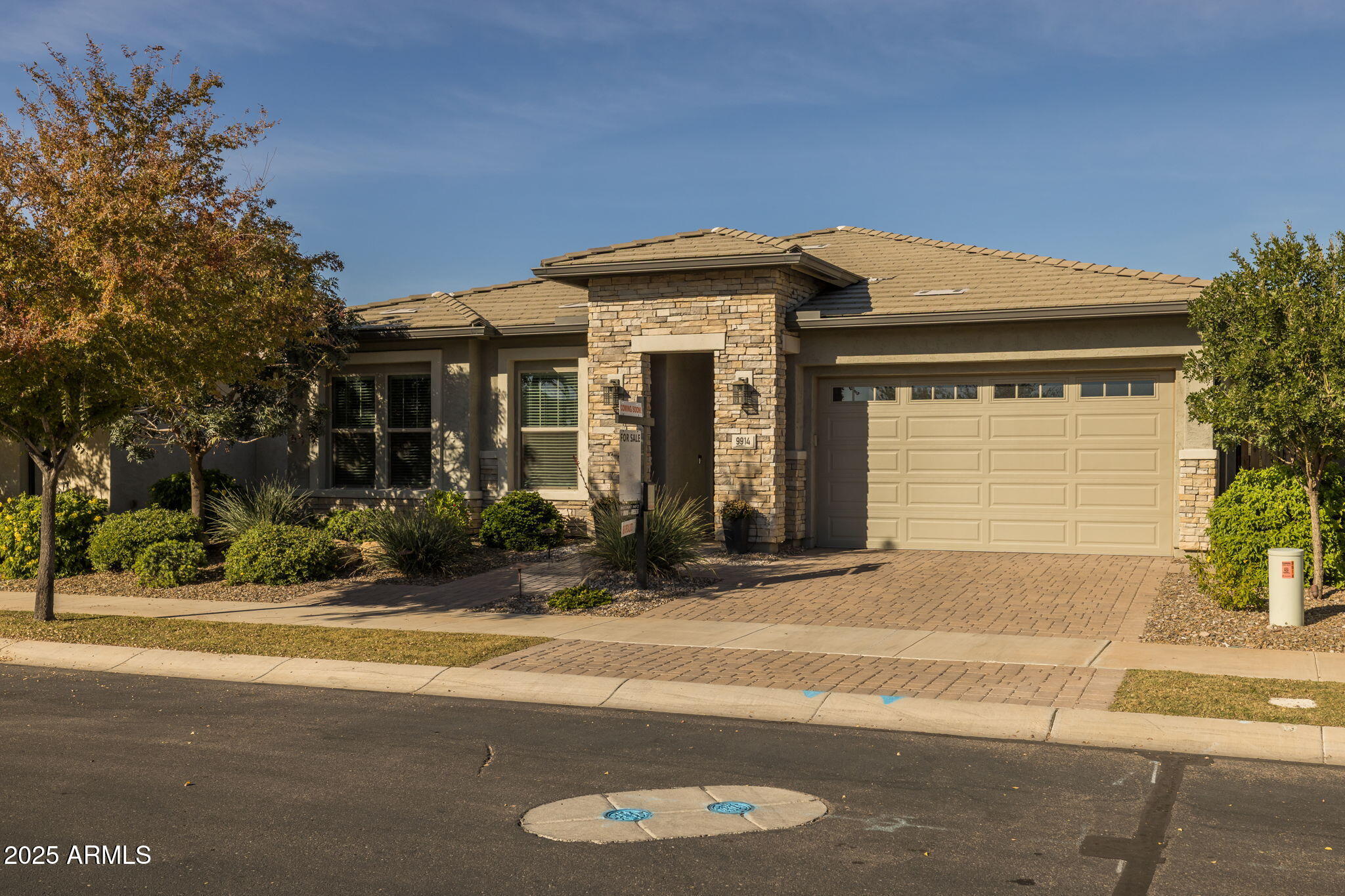 9914 E TORINO Avenue, Mesa, AZ 85212