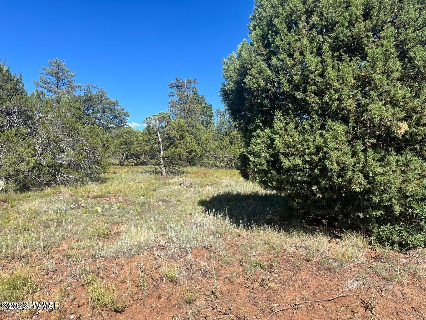 5020 Bison Trail, Lakeside, AZ 85929