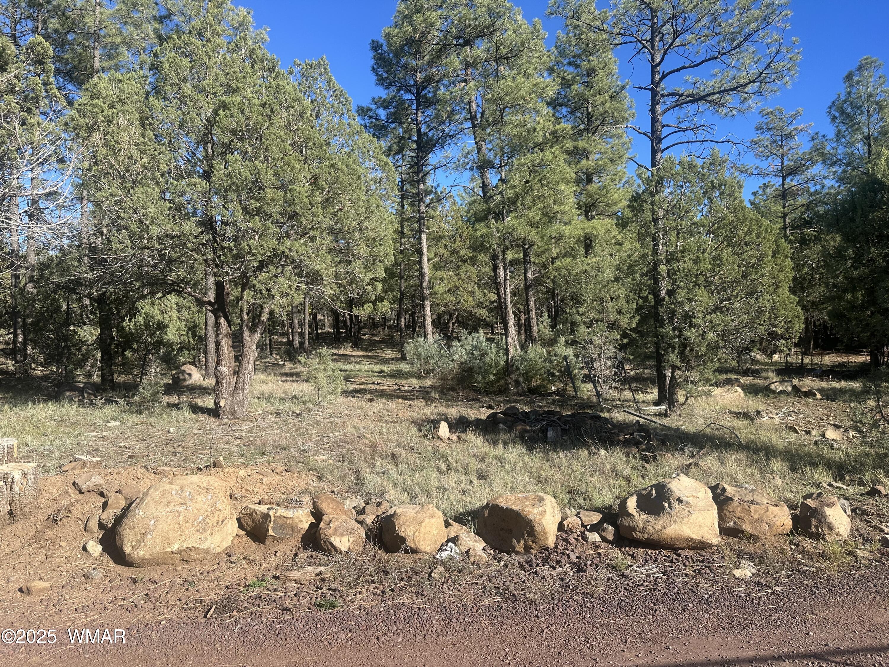 TBD Rodgers Road, Lakeside, AZ 85929