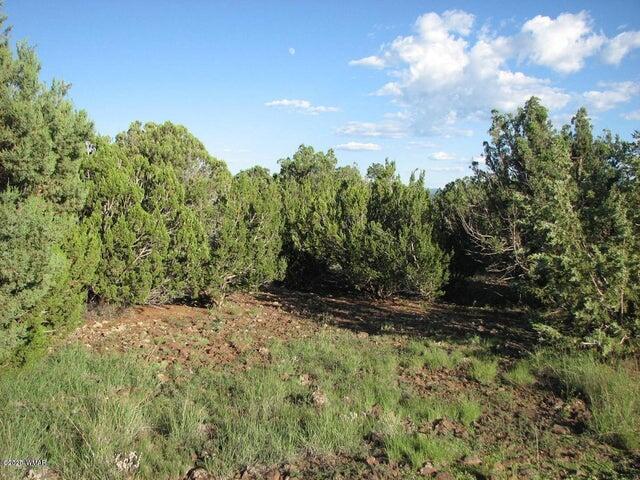 Sec 29 T14N, R17E: Parcel 6 - CR, Heber, AZ 85928 — Photo 1 of 7