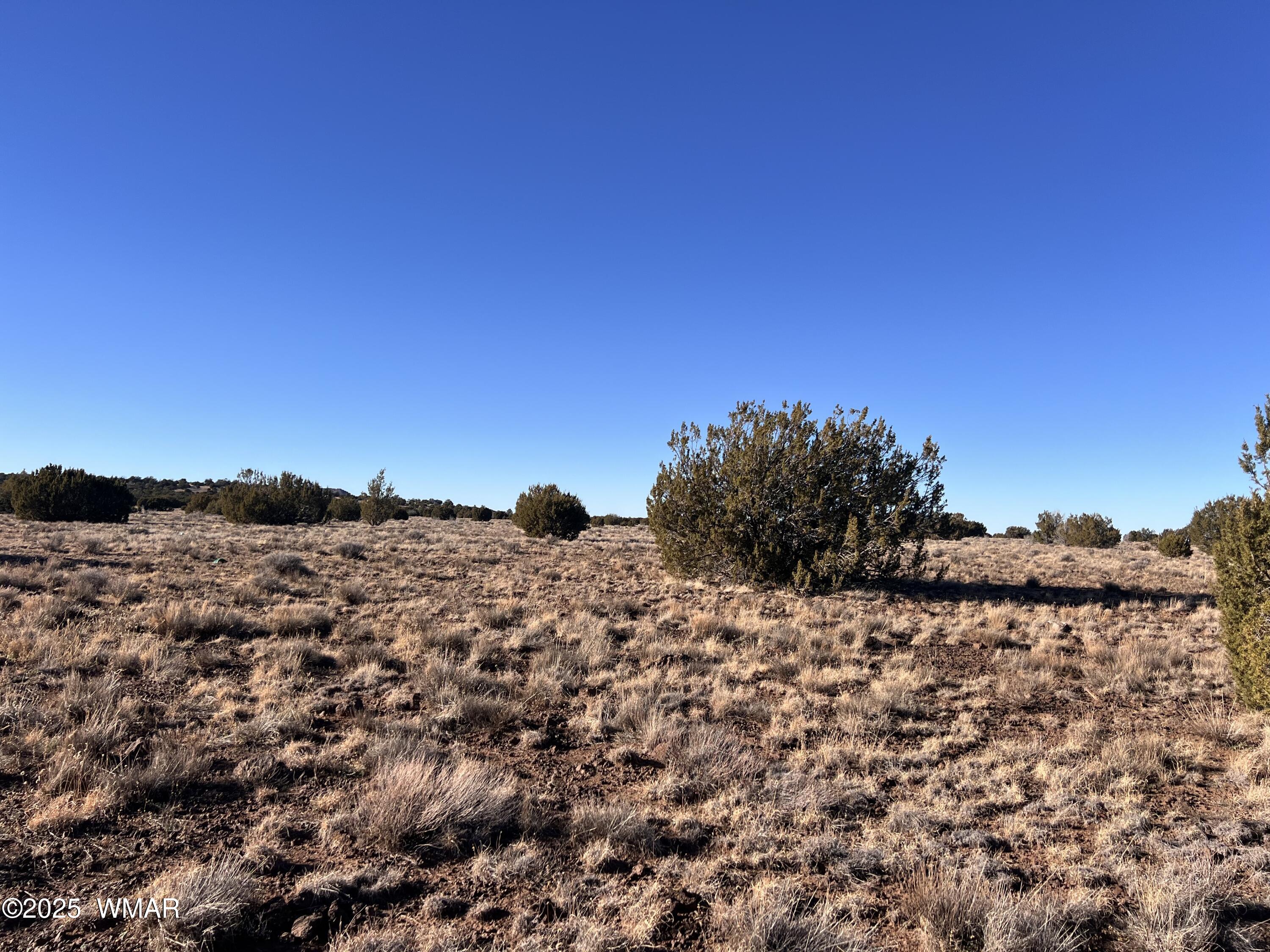 14 N3111, Parcel C, Vernon, AZ 85940