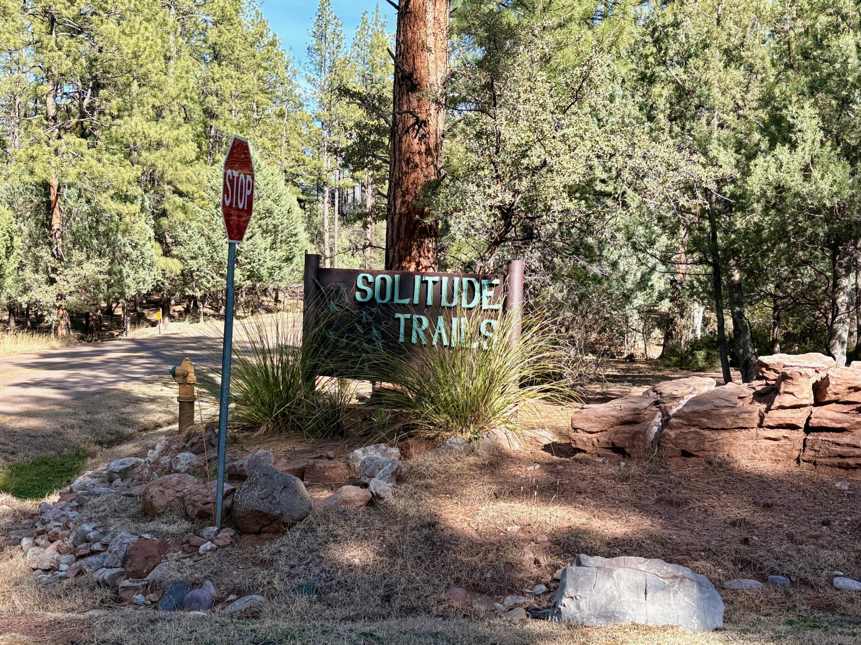 Lot 19 N Elk Rub Lane, Payson, AZ 85541