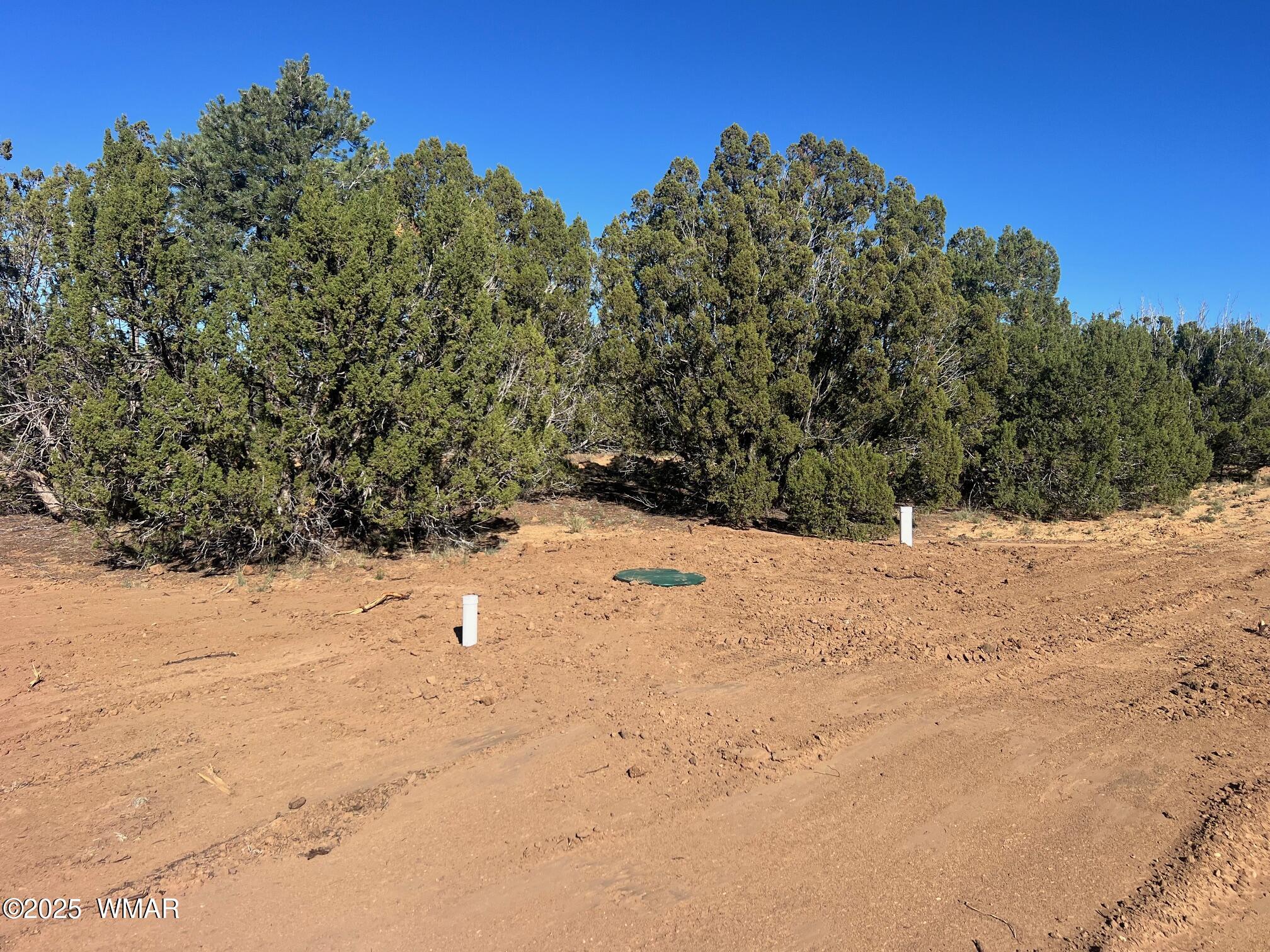 96 CR3041, Concho, AZ 85924