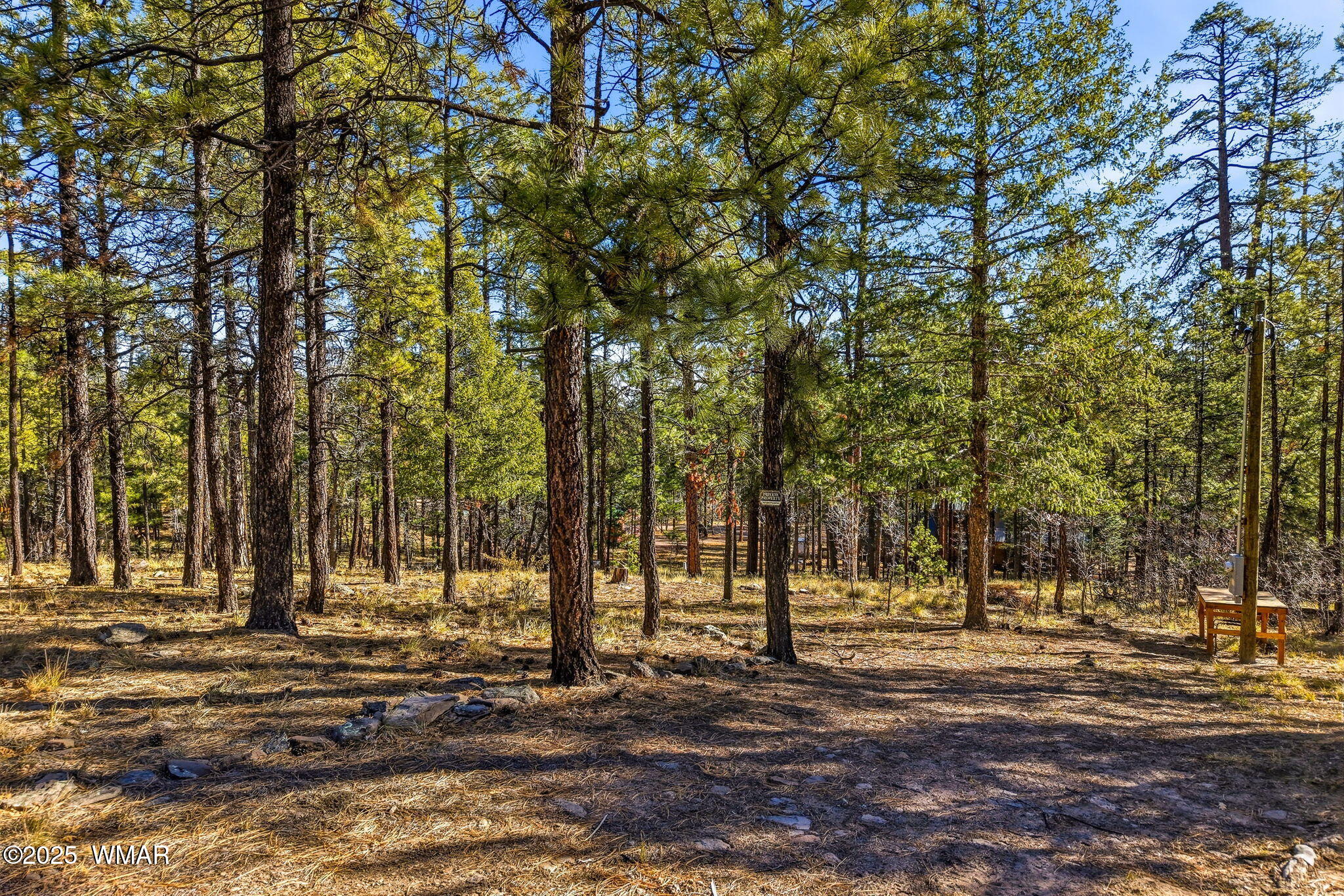 20 Co Rd 2067, Alpine, AZ 85920