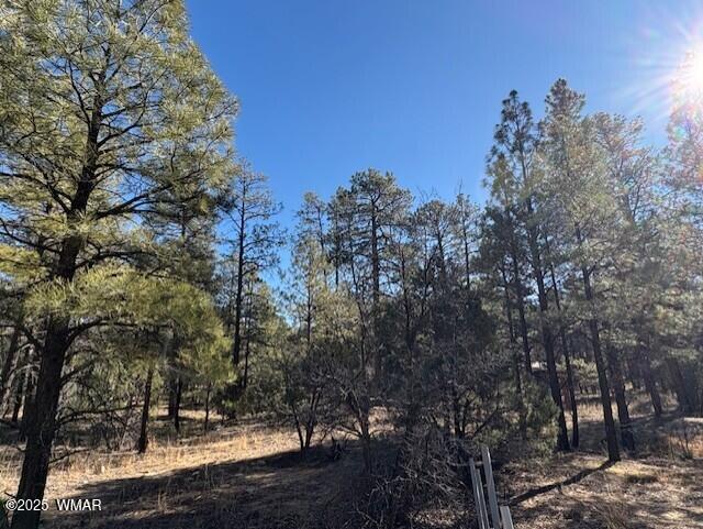 3290 W Black Oak Loop, Lot 31, Show Low, AZ 85901