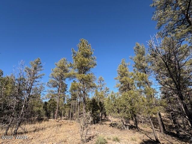 3211 W Black Oak Loop, Lot 83, Show Low, AZ 85901