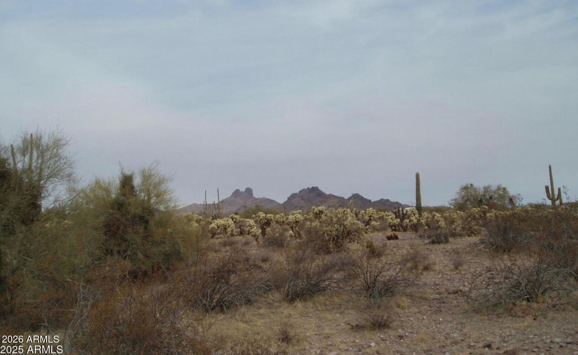 307000 N 315th Avenue 162 3, Wittmann, AZ 85361