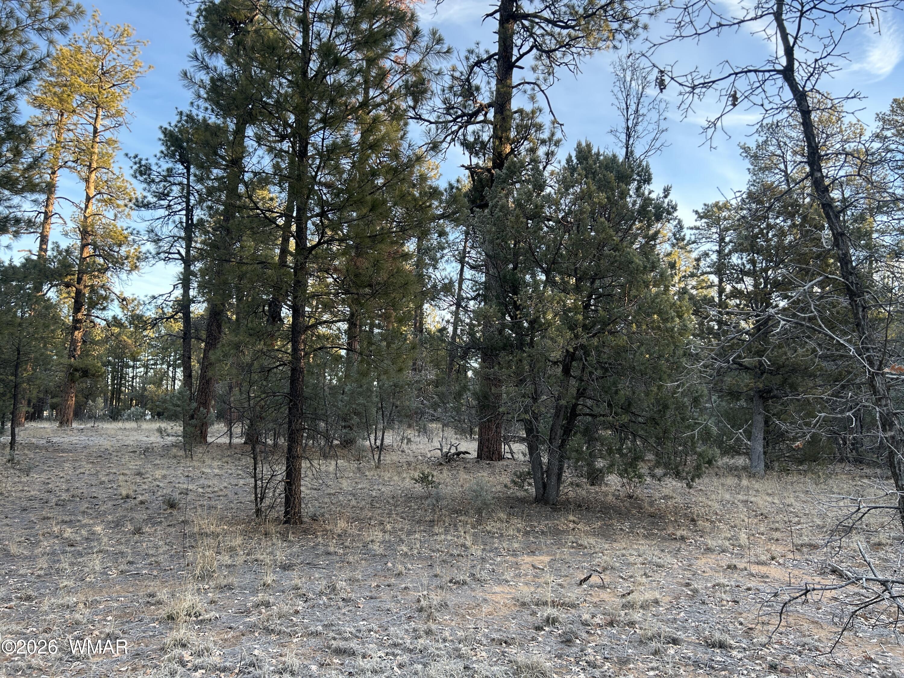 TBD- R Hilltop, Lakeside, AZ 85929