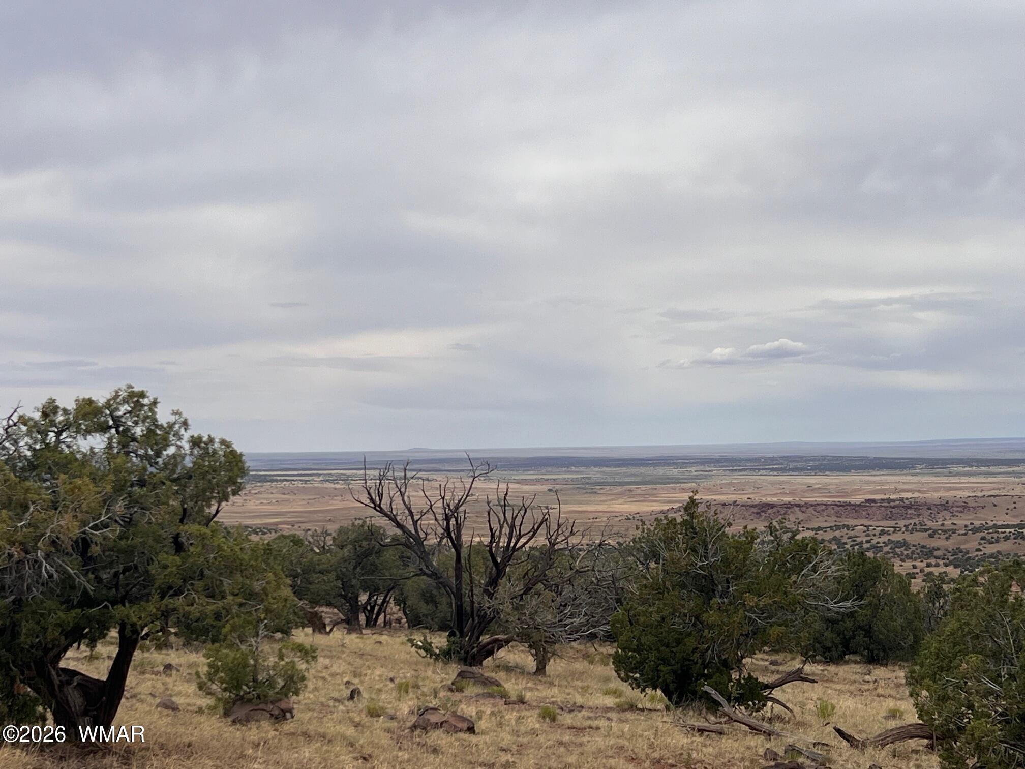 Lot 8 N8526, Concho, AZ 85924