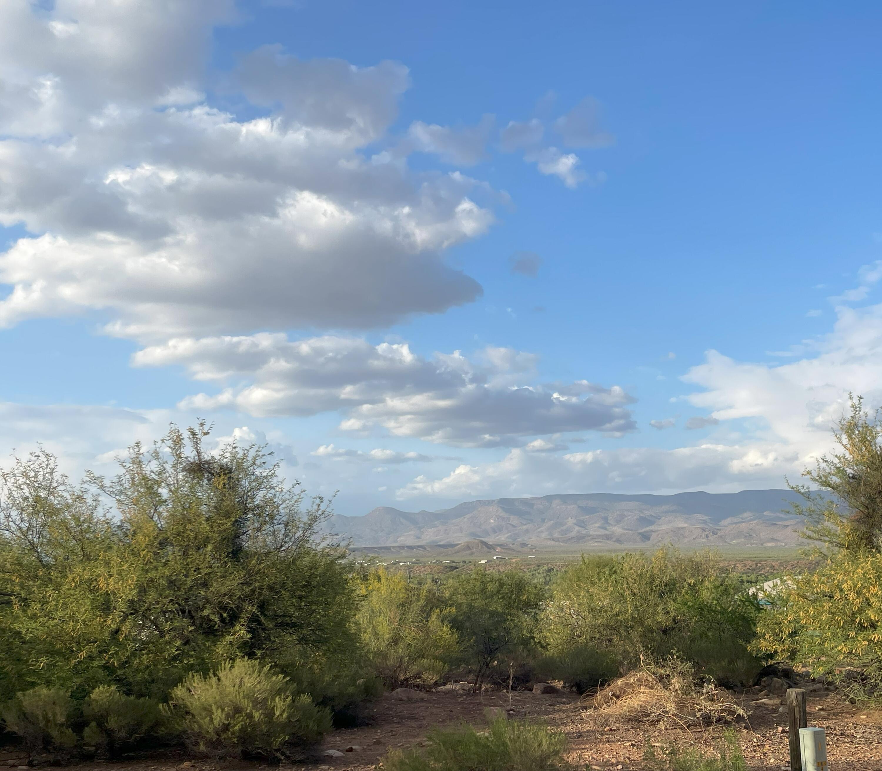 51 Iron Wood Lane, Tonto Basin, AZ 85553